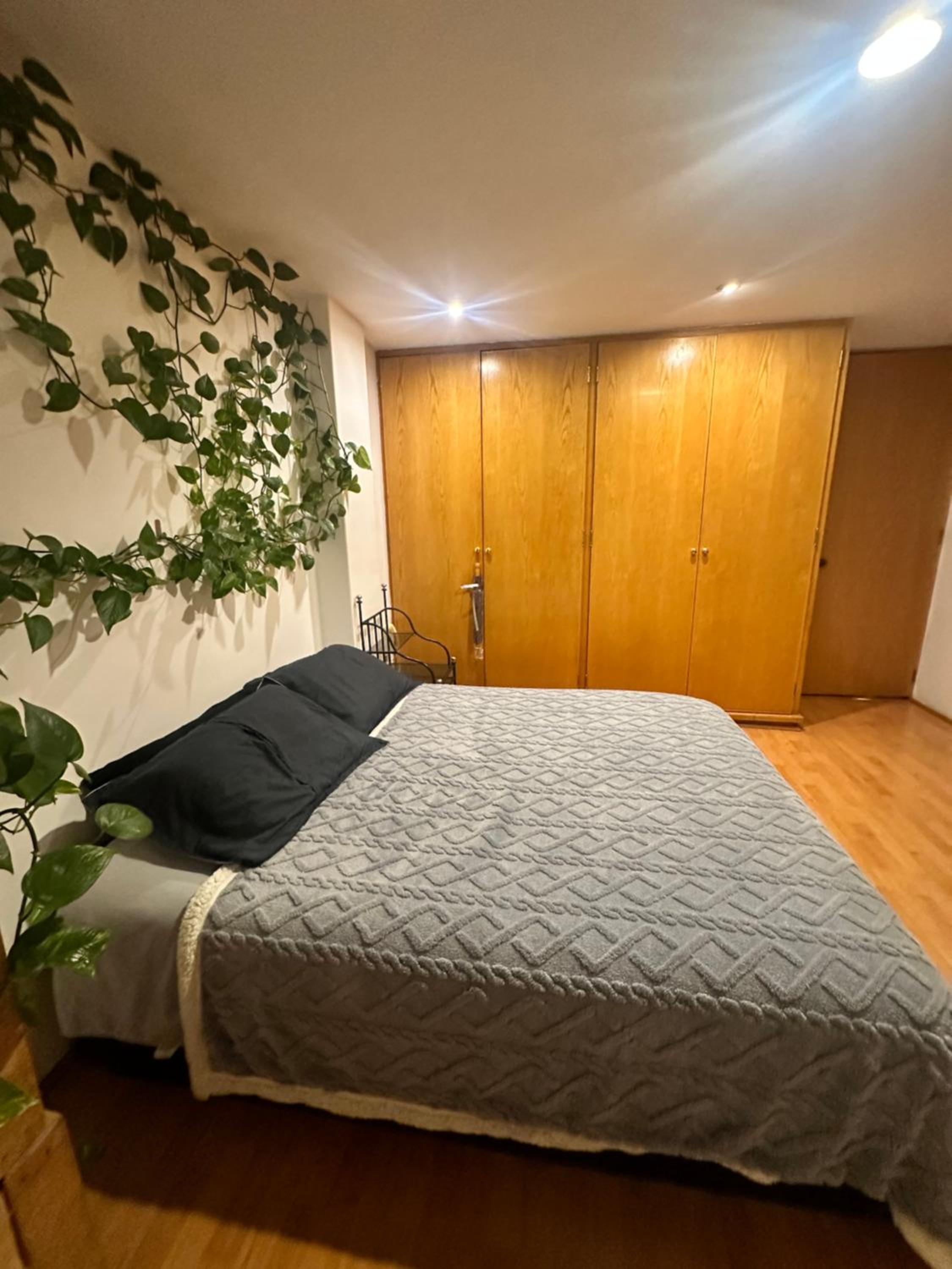 Private room in Roma Norte photo 5