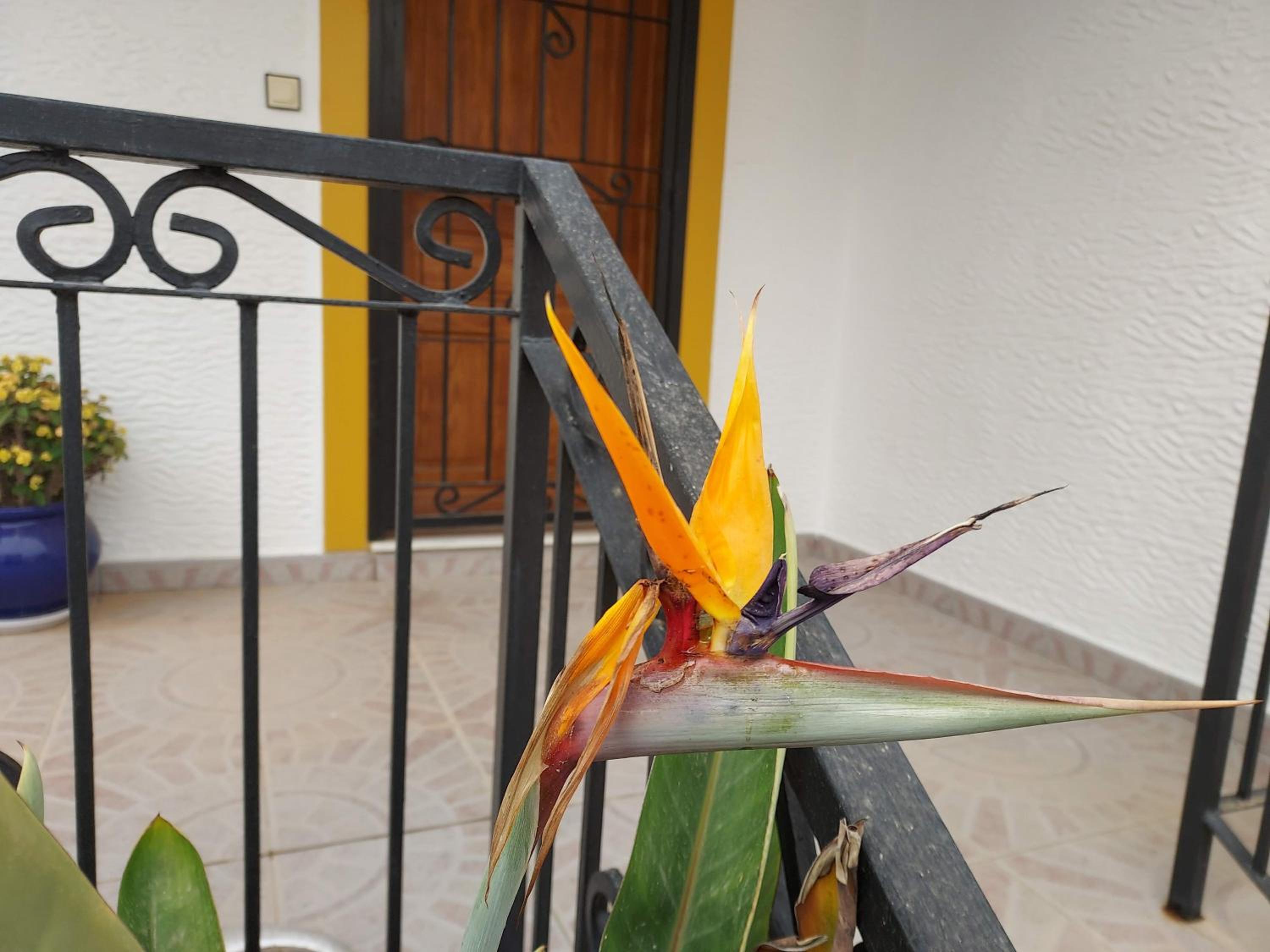 Villa Cordoba
