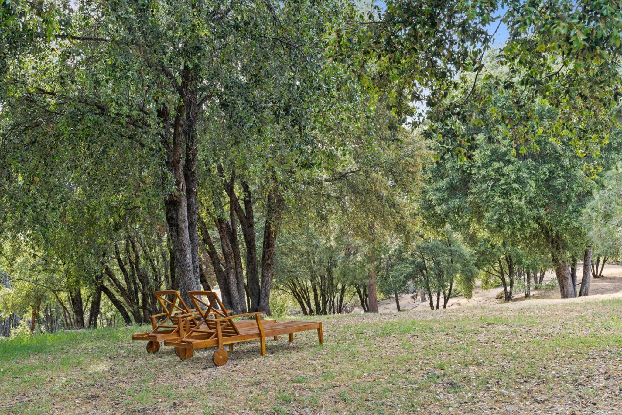 Yosemite Villa - log cabin with spectacular views & stargazing