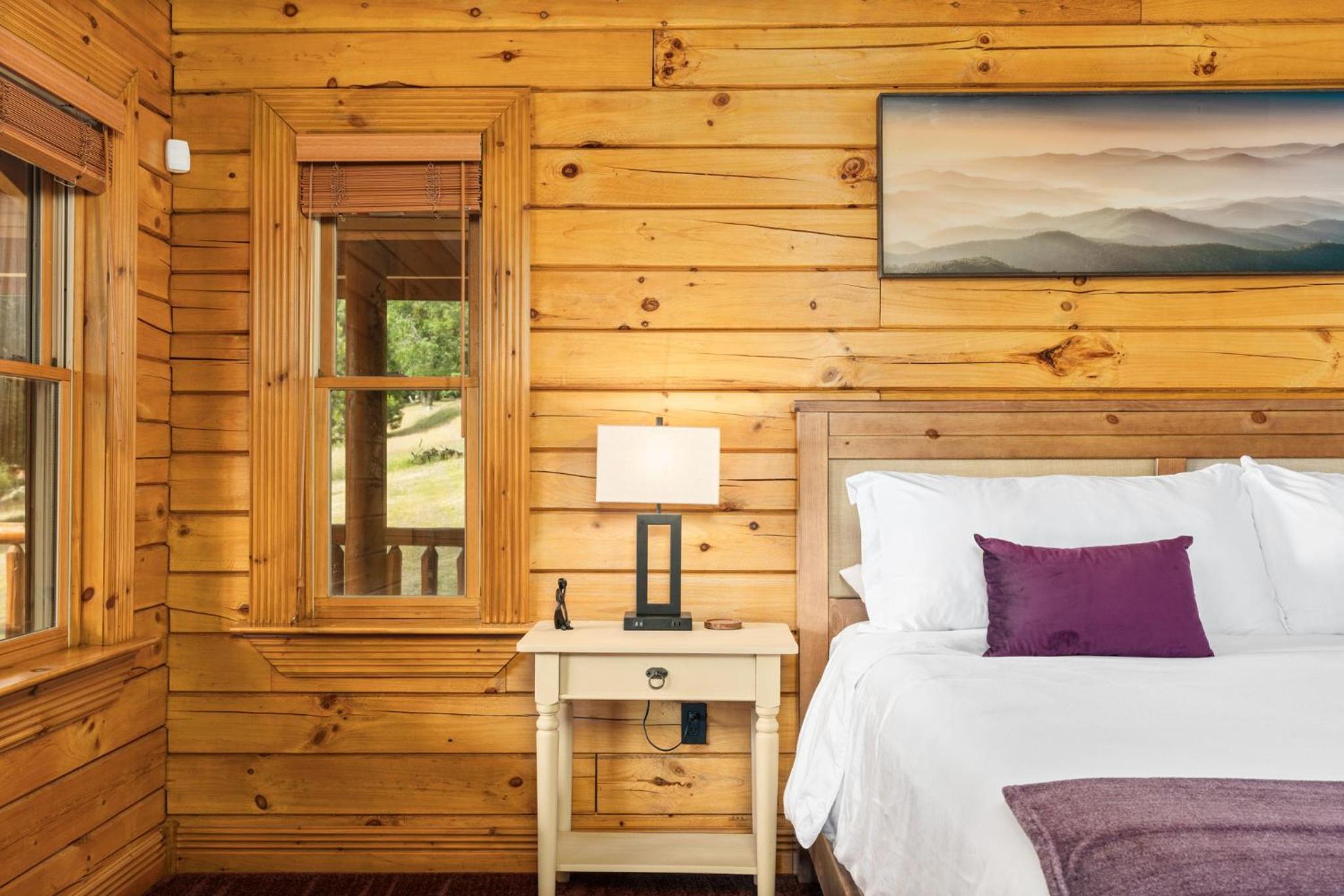 Yosemite Villa - log cabin with spectacular views & stargazing