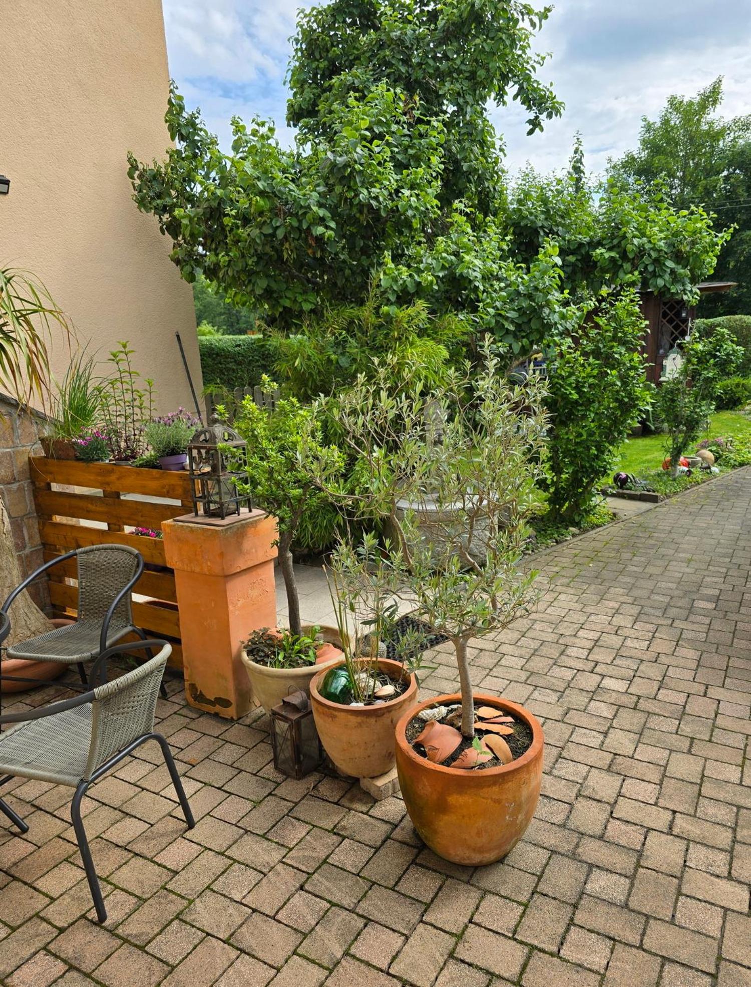 Schönes Apartment / Ferienwohnung am Regen