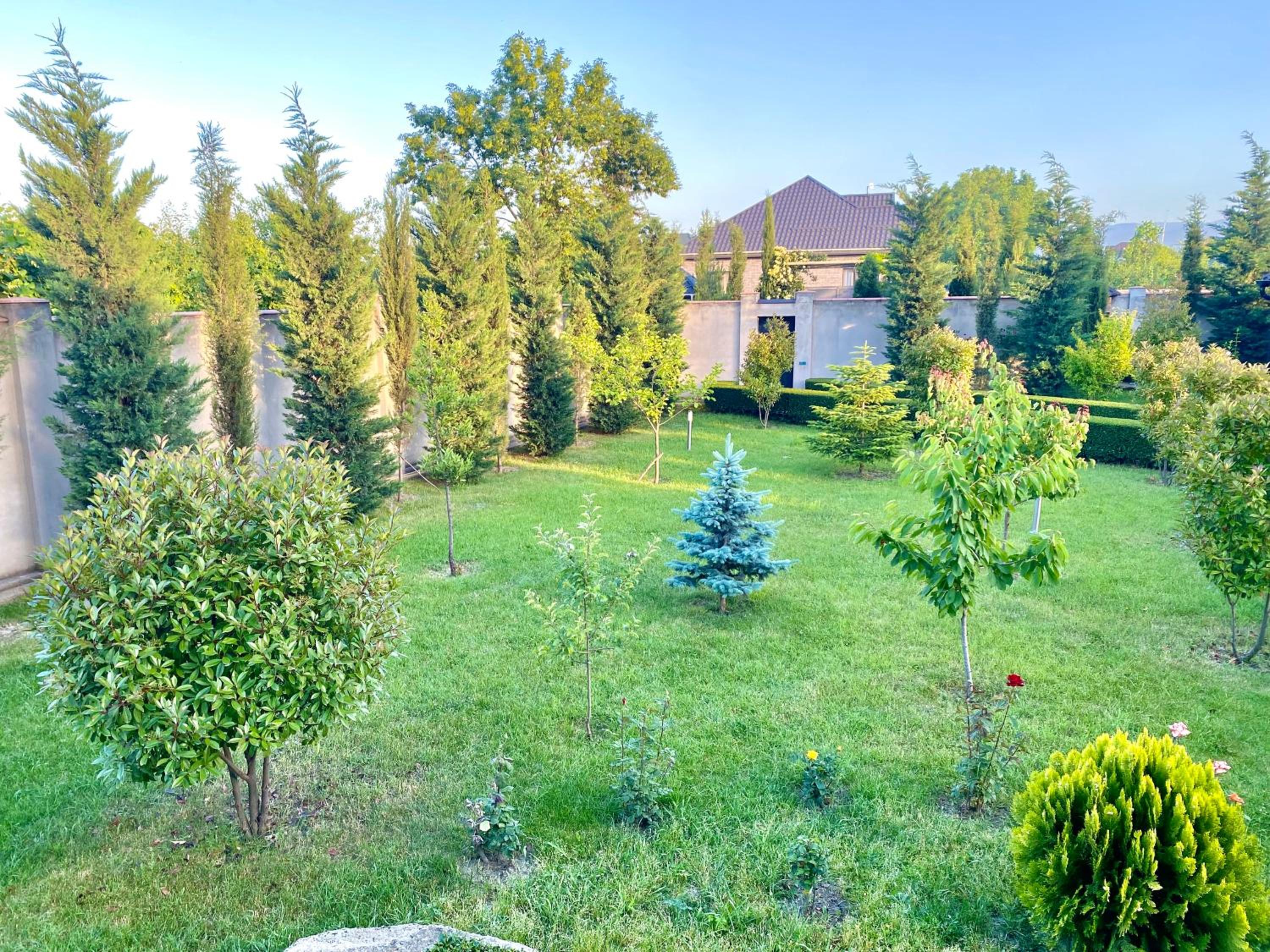 Villa Lux in Quba