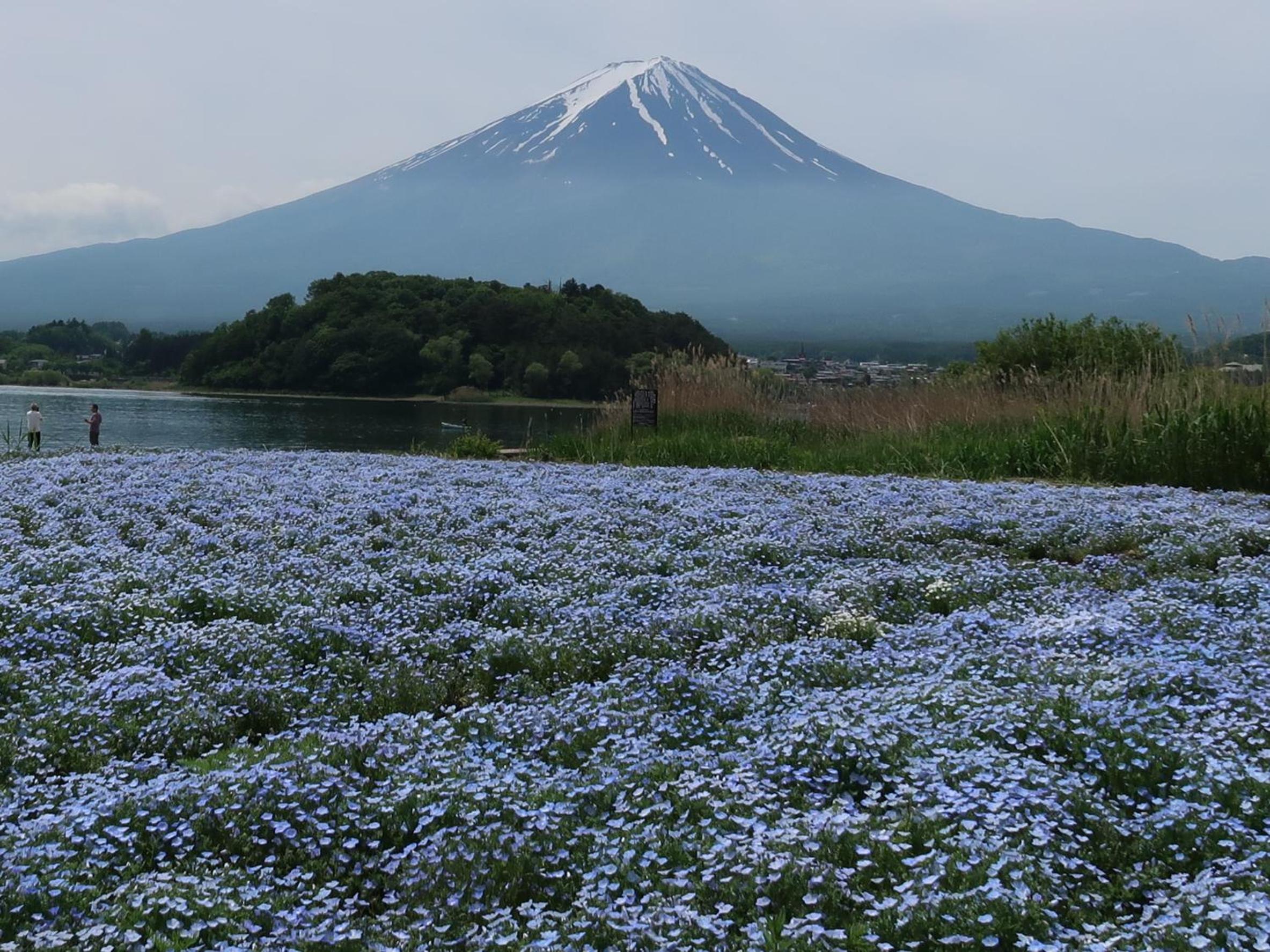 Kuranoyado Matsuya
