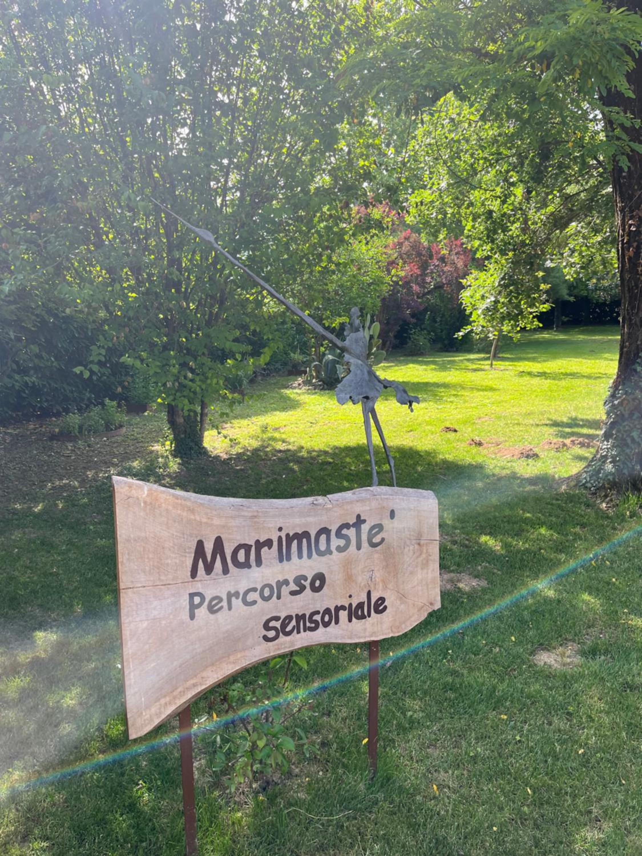 Marimastè