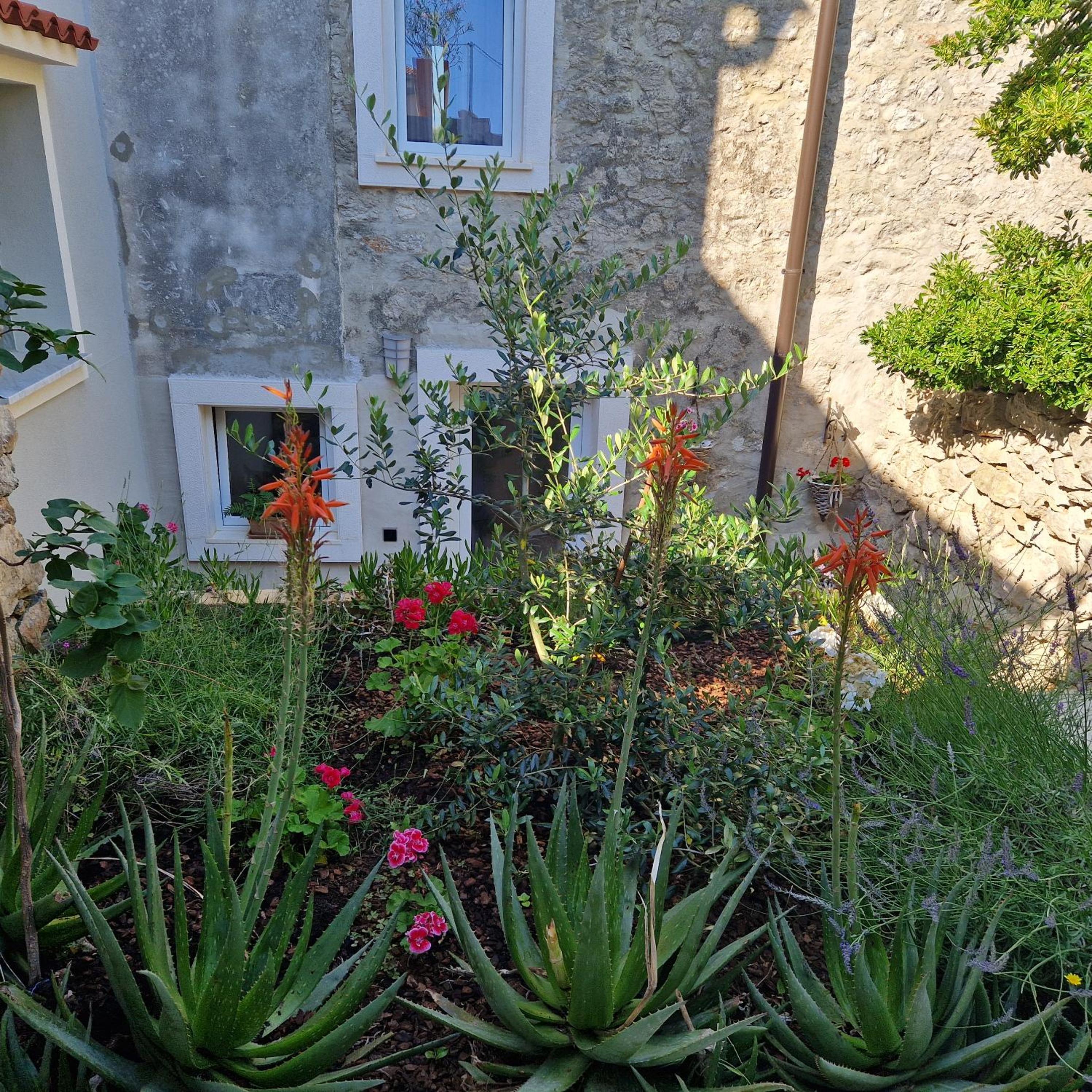 CASTEL view 3