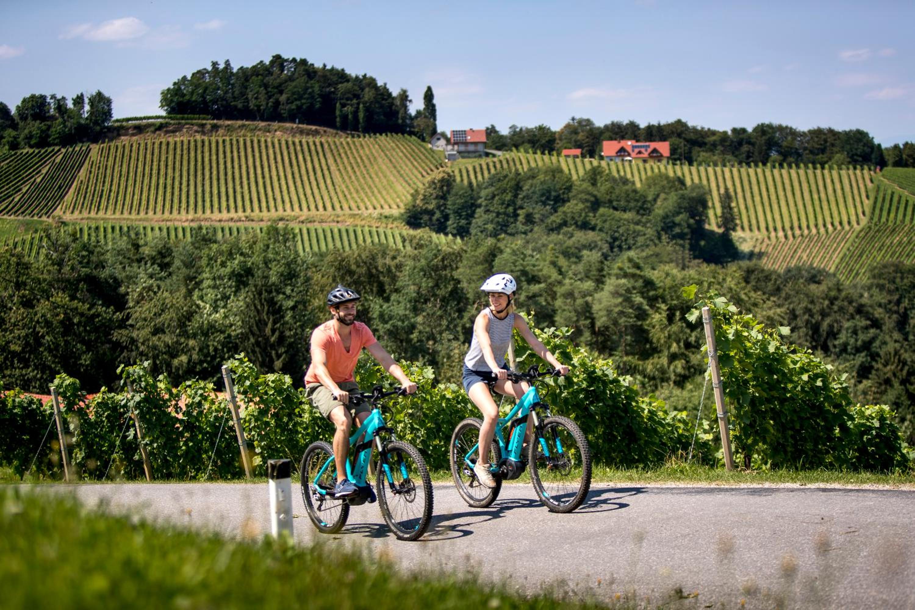 Apartment direkt am Weingut Garber
