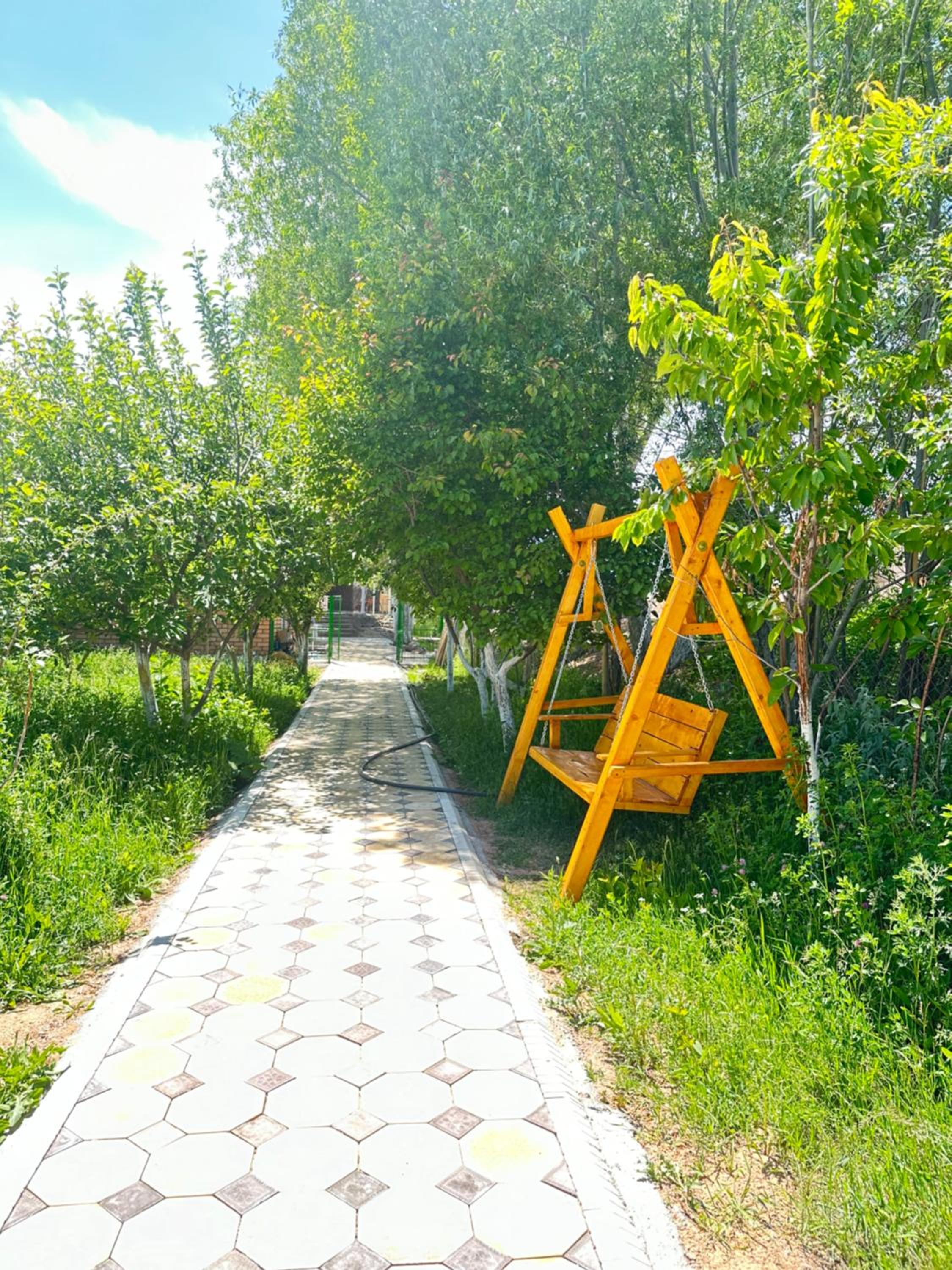 Photo 22