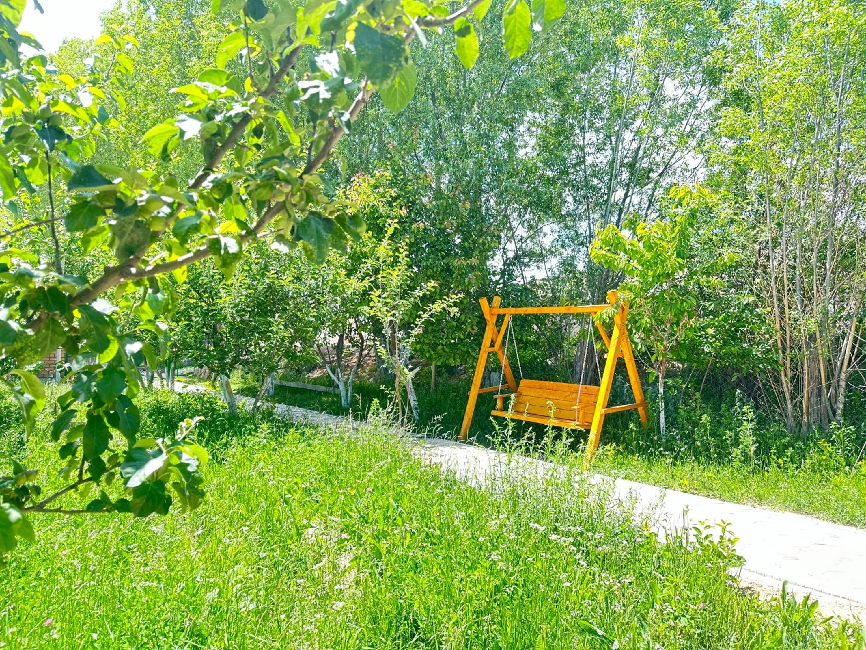 Photo 21