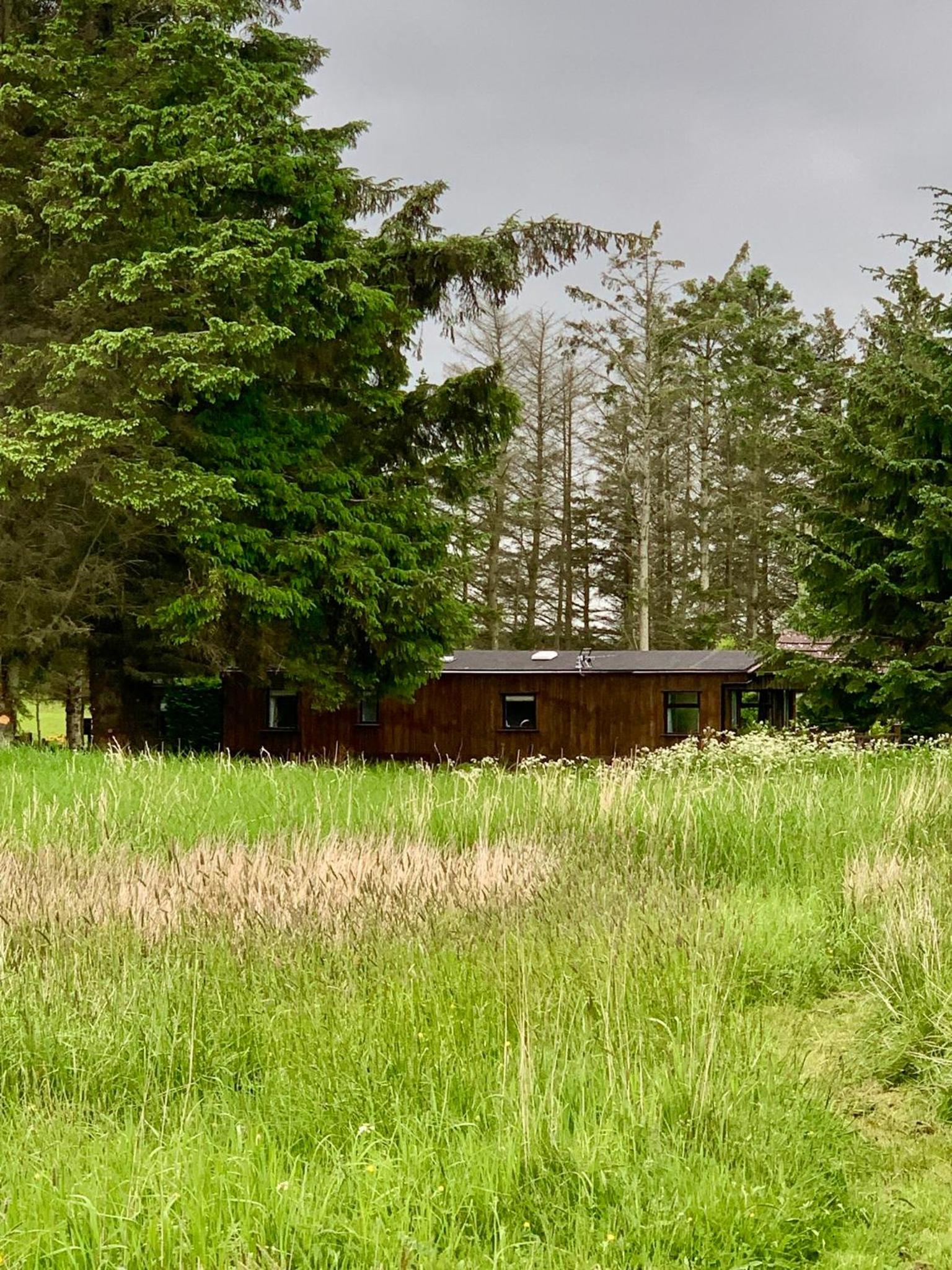 Celtic Lodges