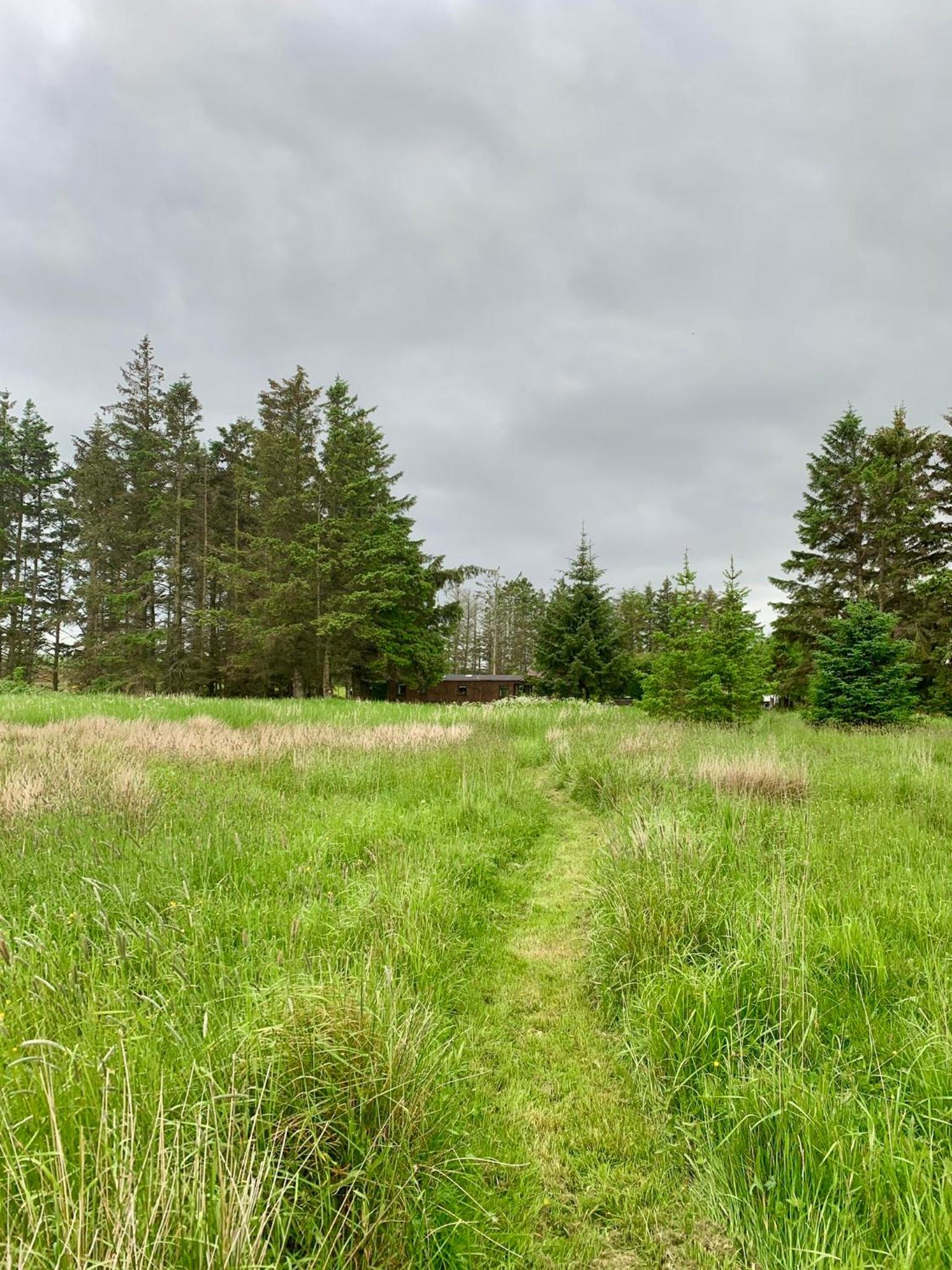 Celtic Lodges