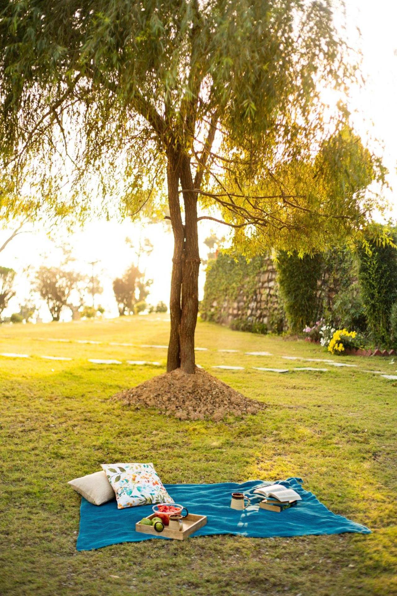 Photo 29