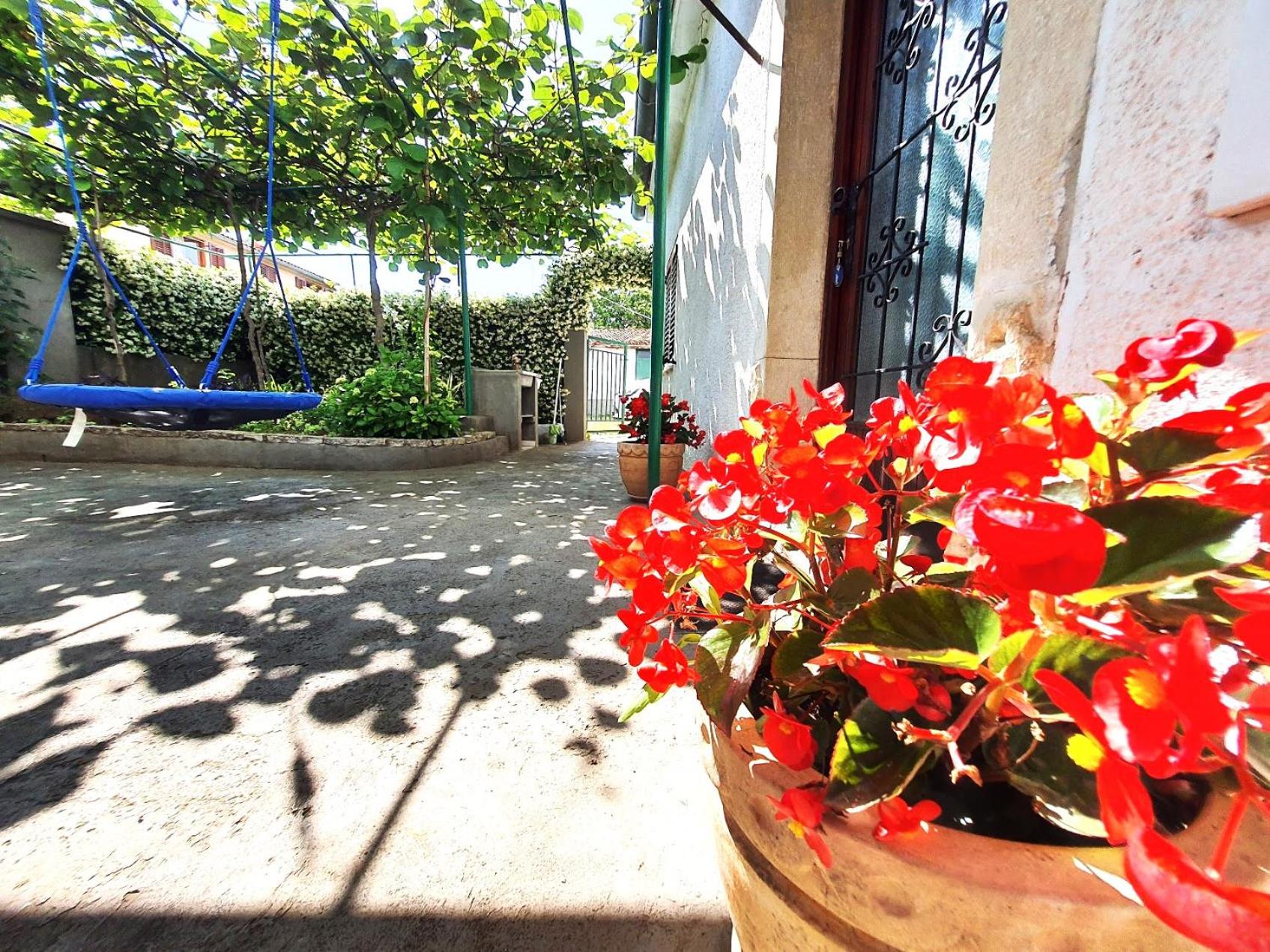 Photo 43