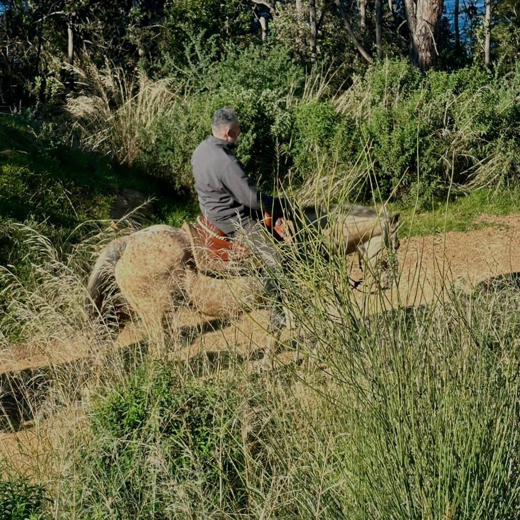 Maremma 1851