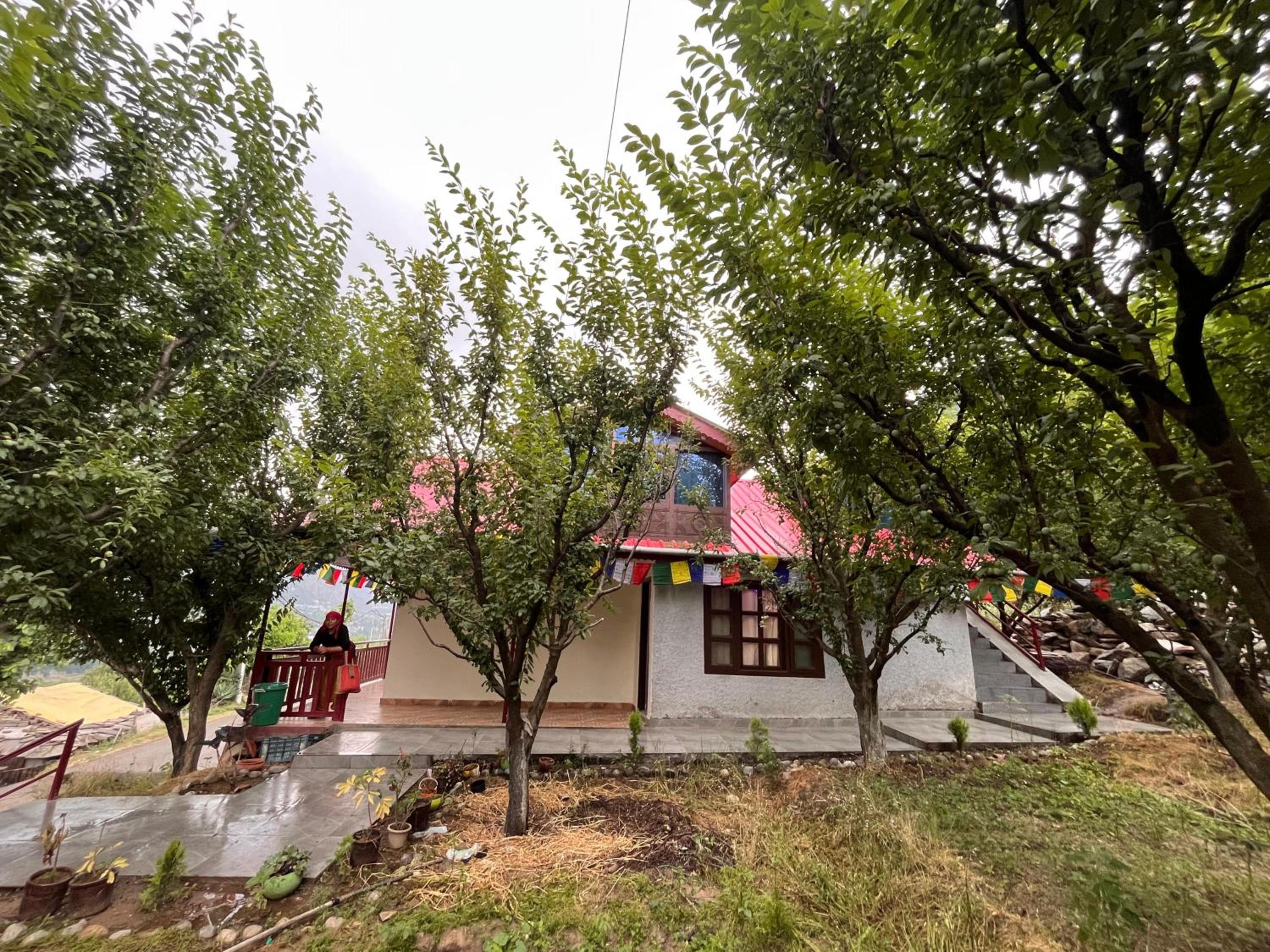 Photo 16