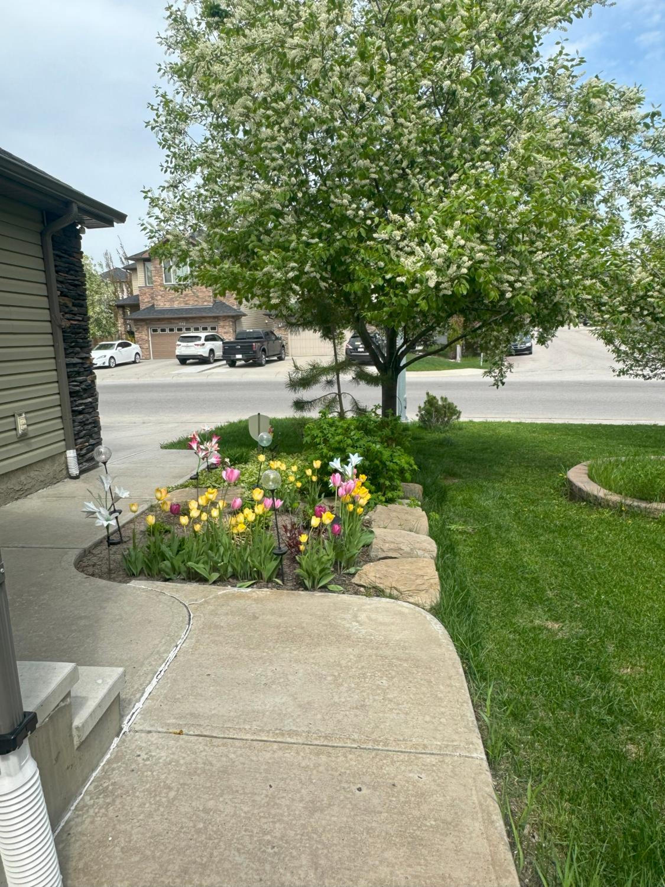 Spacious Private Walkout Entire Suite Close to YYC, DT, Shops, Stampede & Mountains with many Amenities in Panorama Hills NW - 4 Can Sleep