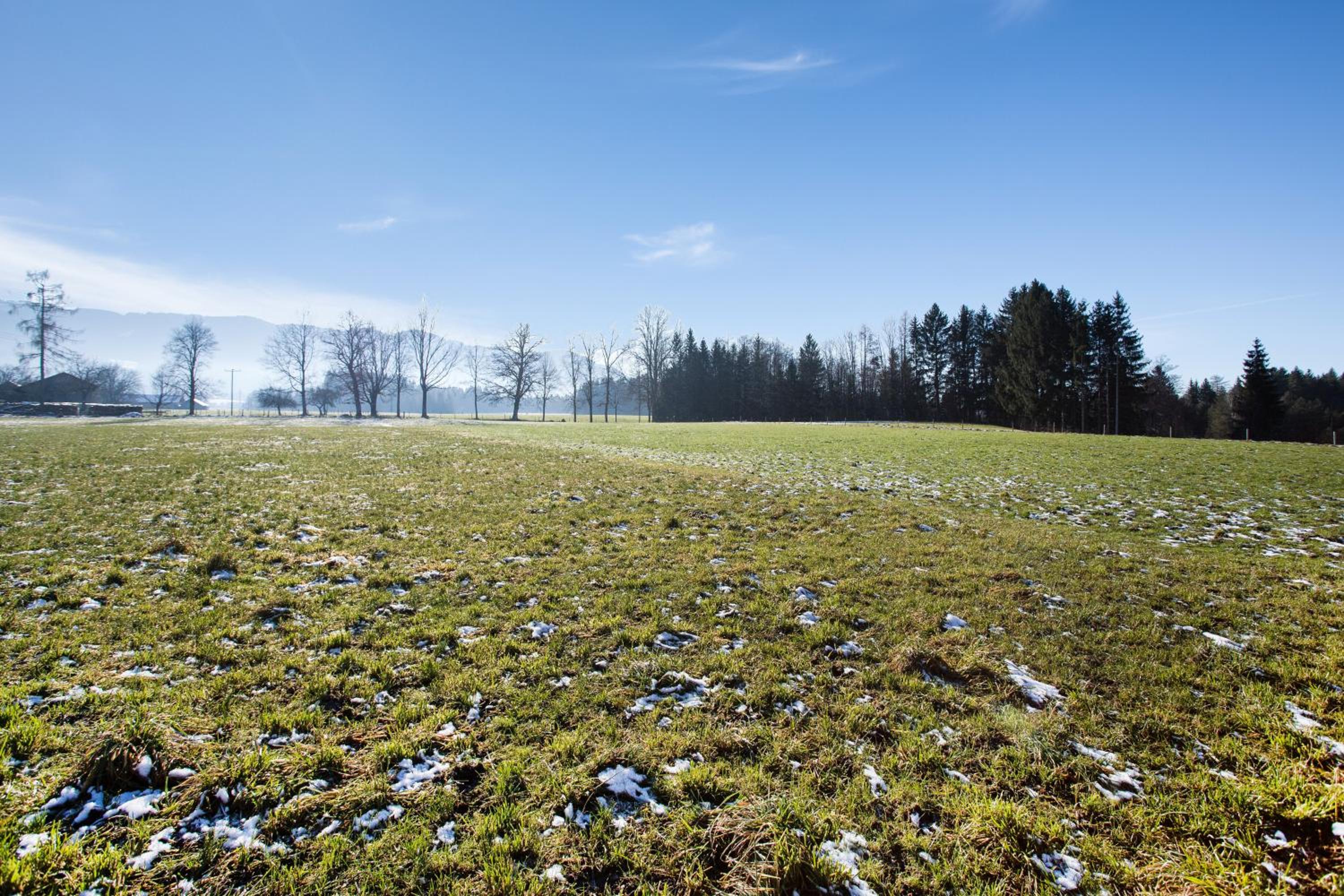 Knödelhof