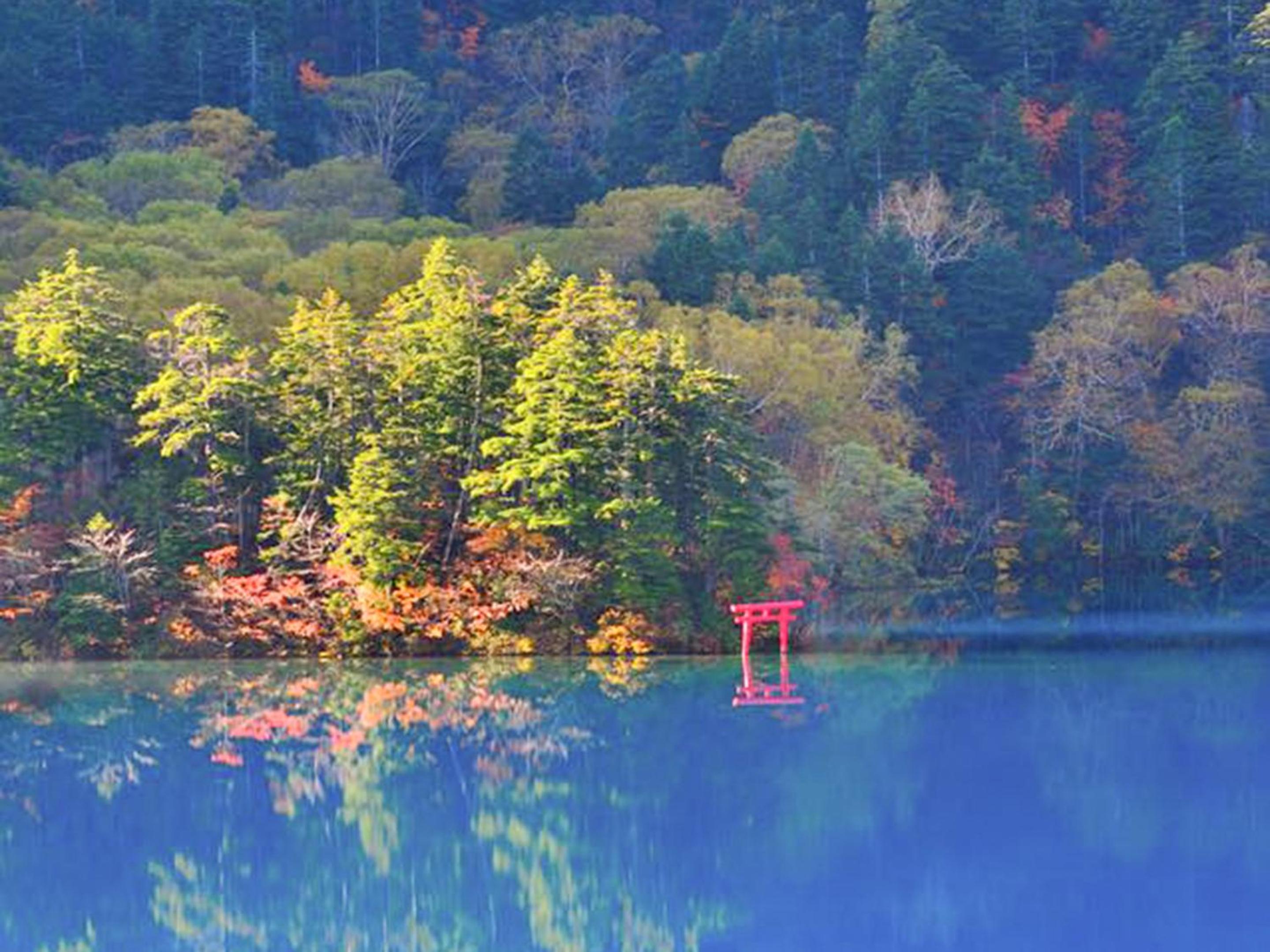 Shiga Kogen Lodge, Yamanouchi - 11