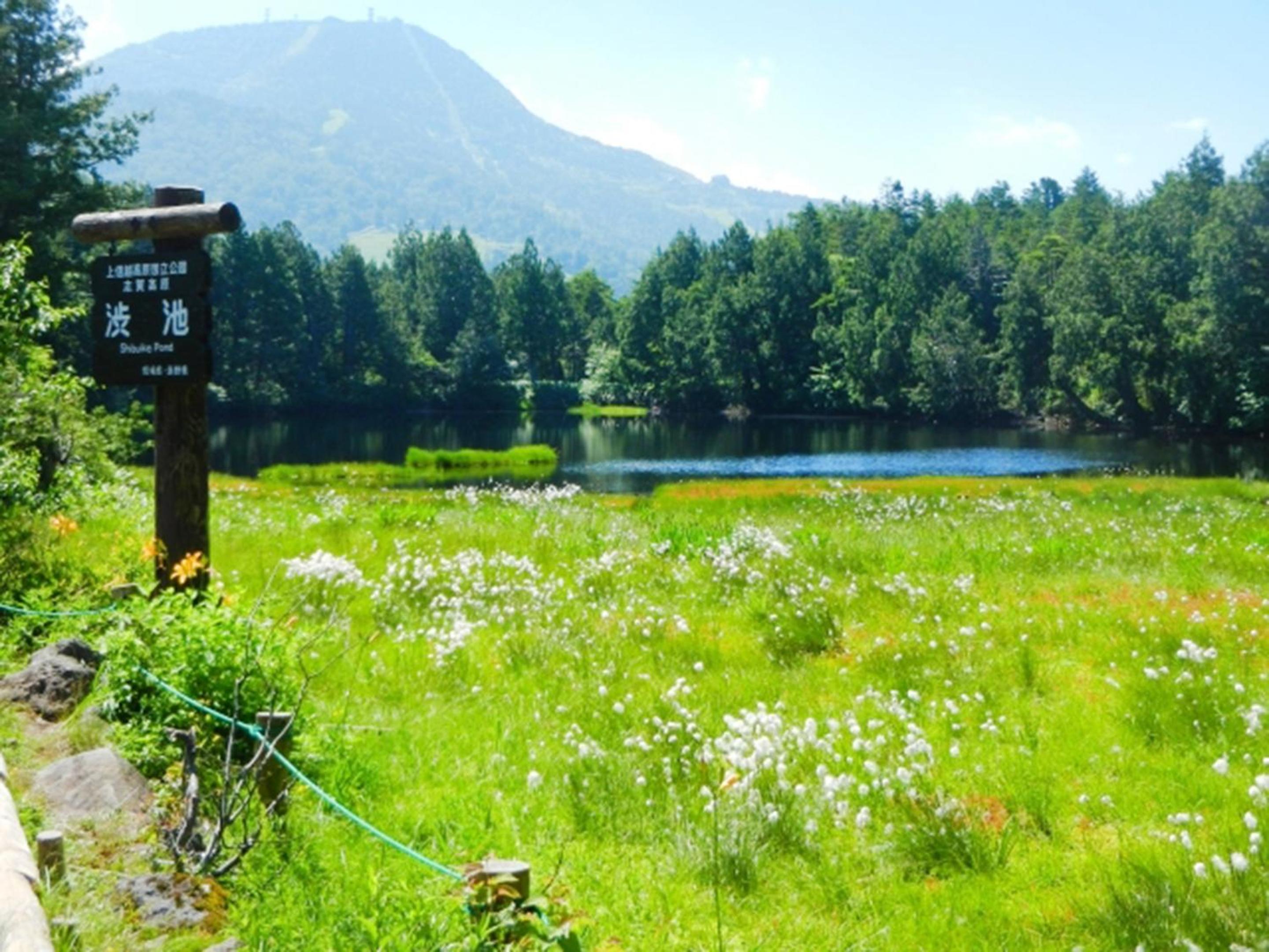 Shiga Kogen Lodge