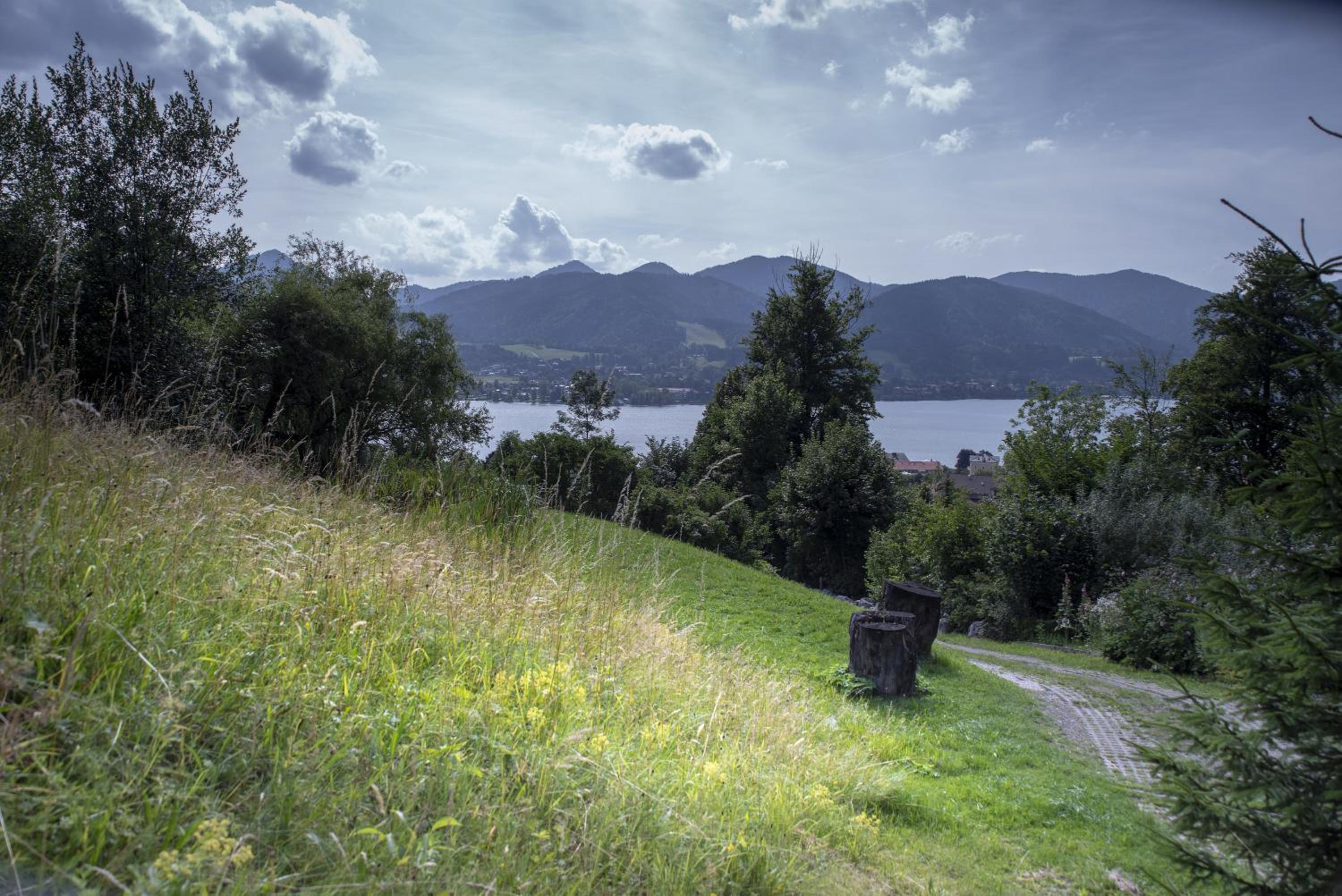 Knödelhof