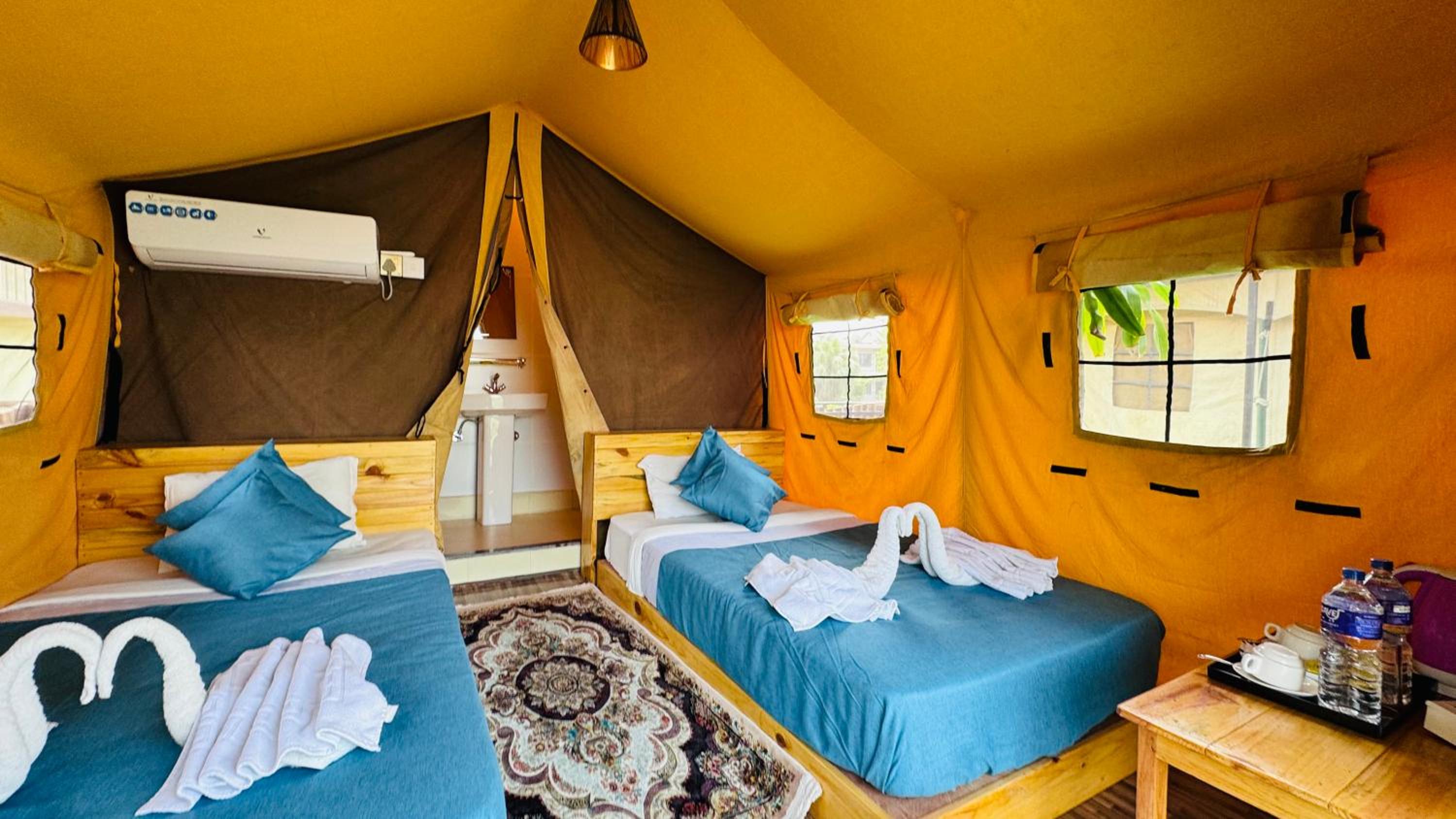 Jungle Wildlife Camp