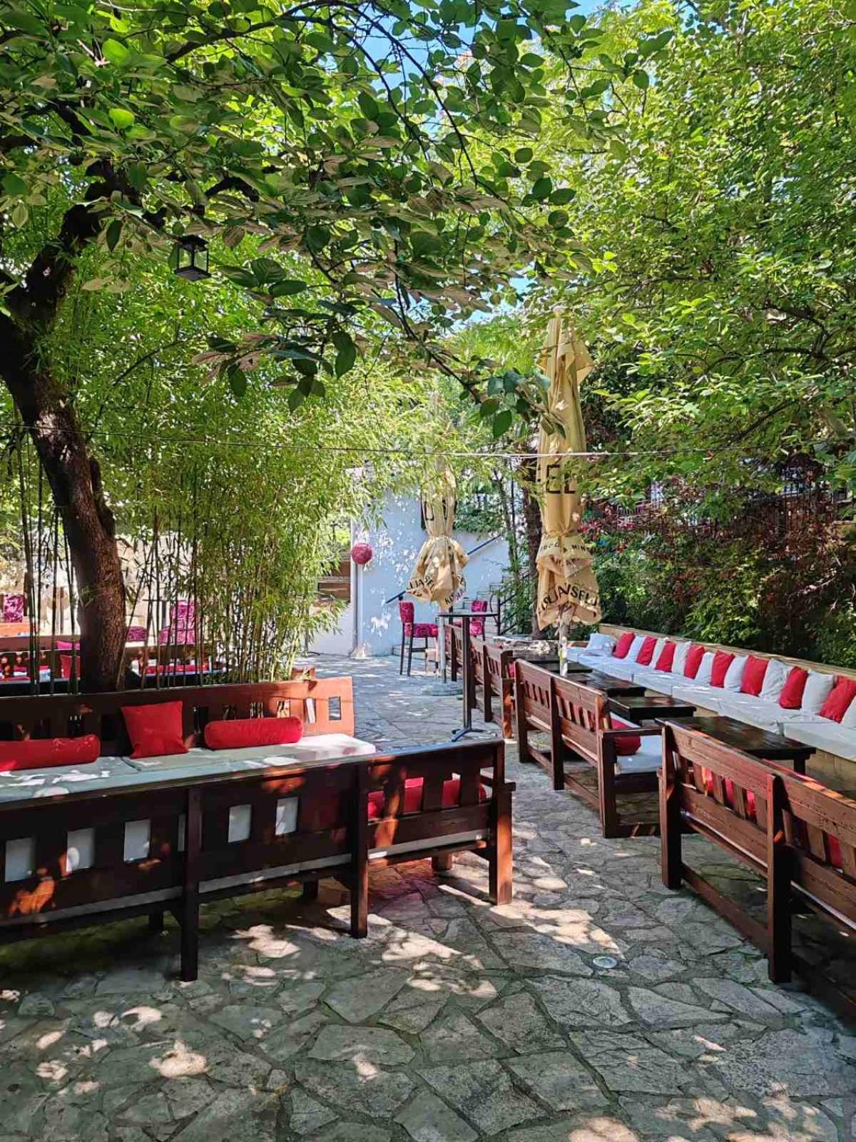 Pansion Oscar Summer Garden
