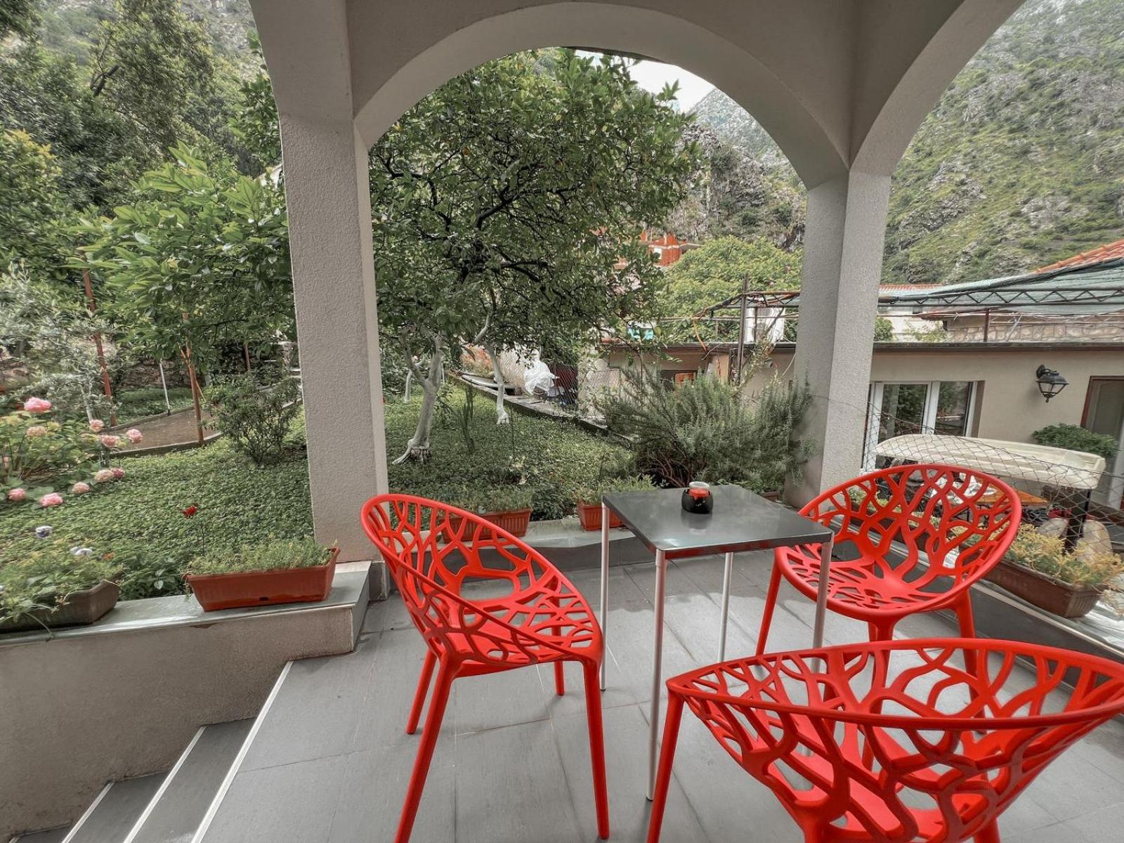 balance & terrace