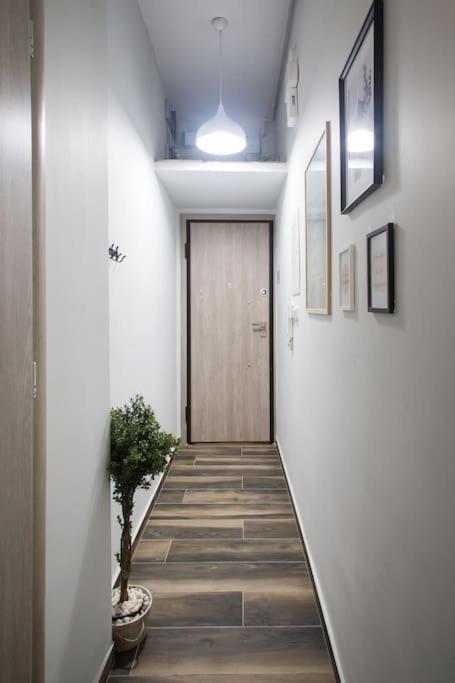 A comfortable small studio nearby Acropolis 5