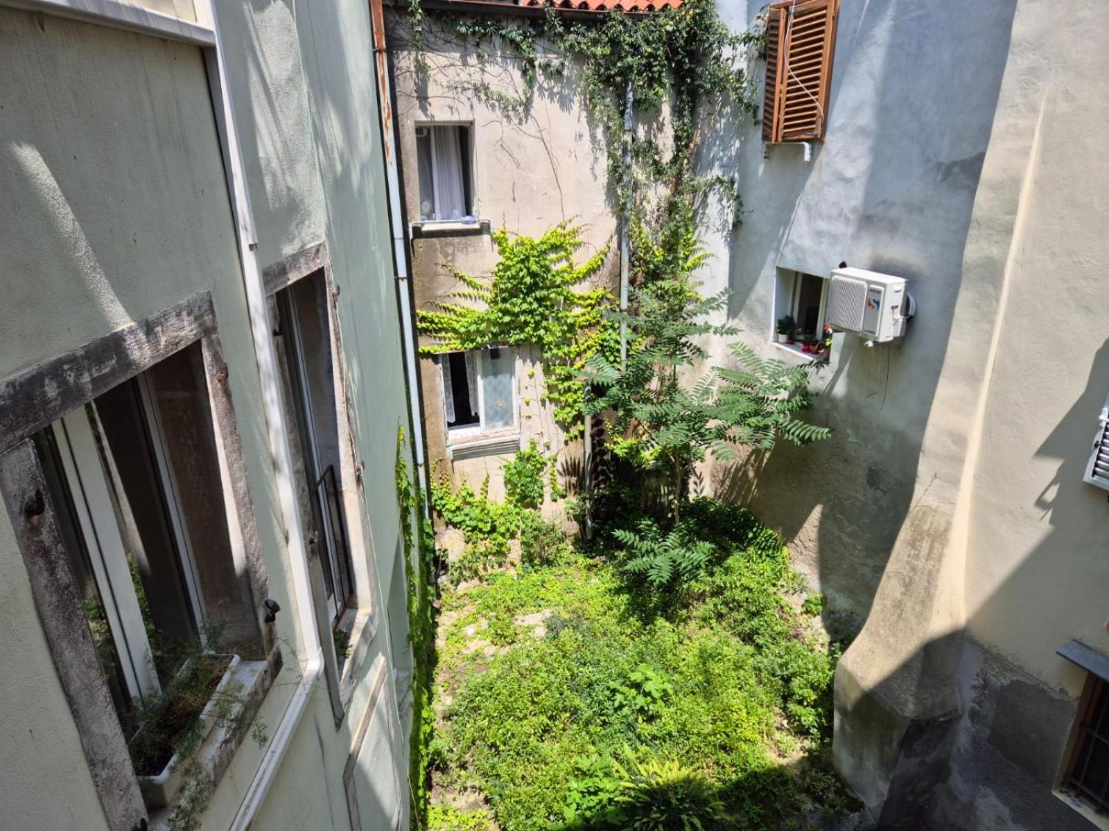 Apartman Arioso