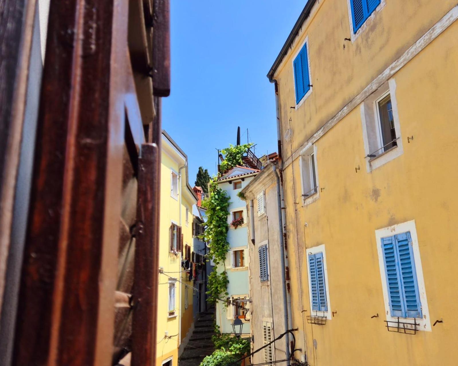 Apartman Arioso