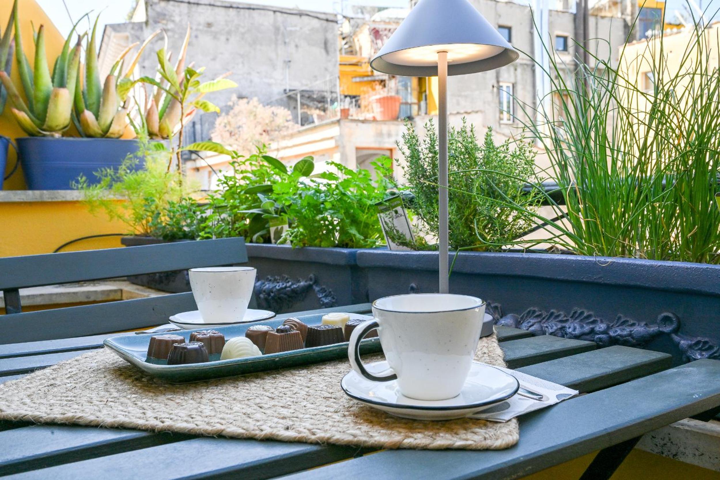 balance & terrace