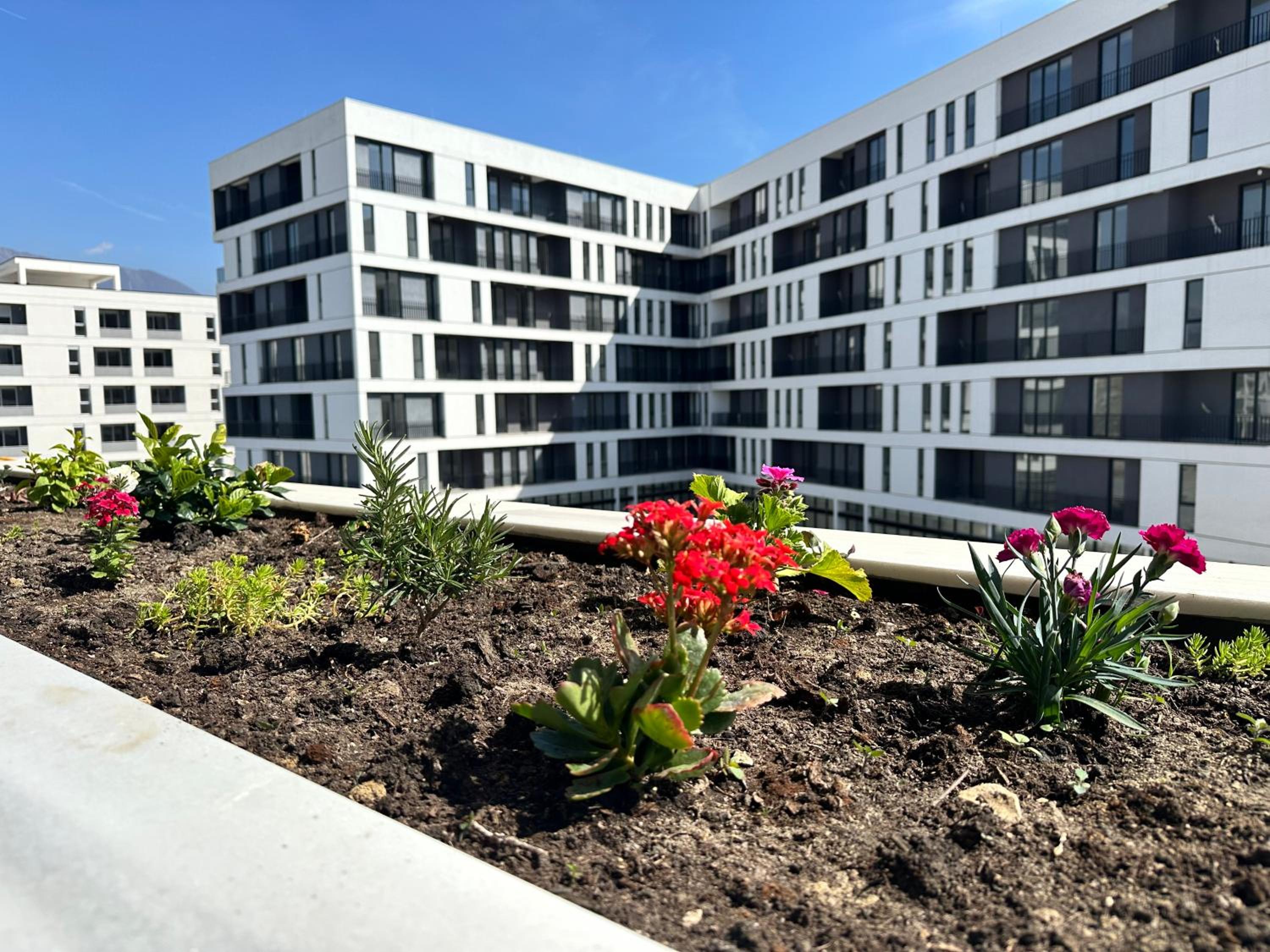 Family apartment
