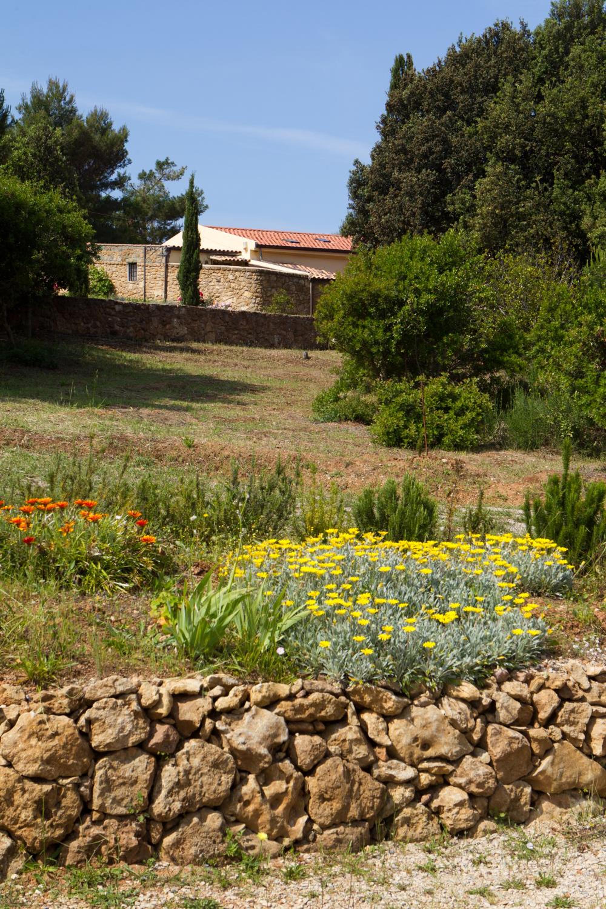 Caprifogli
