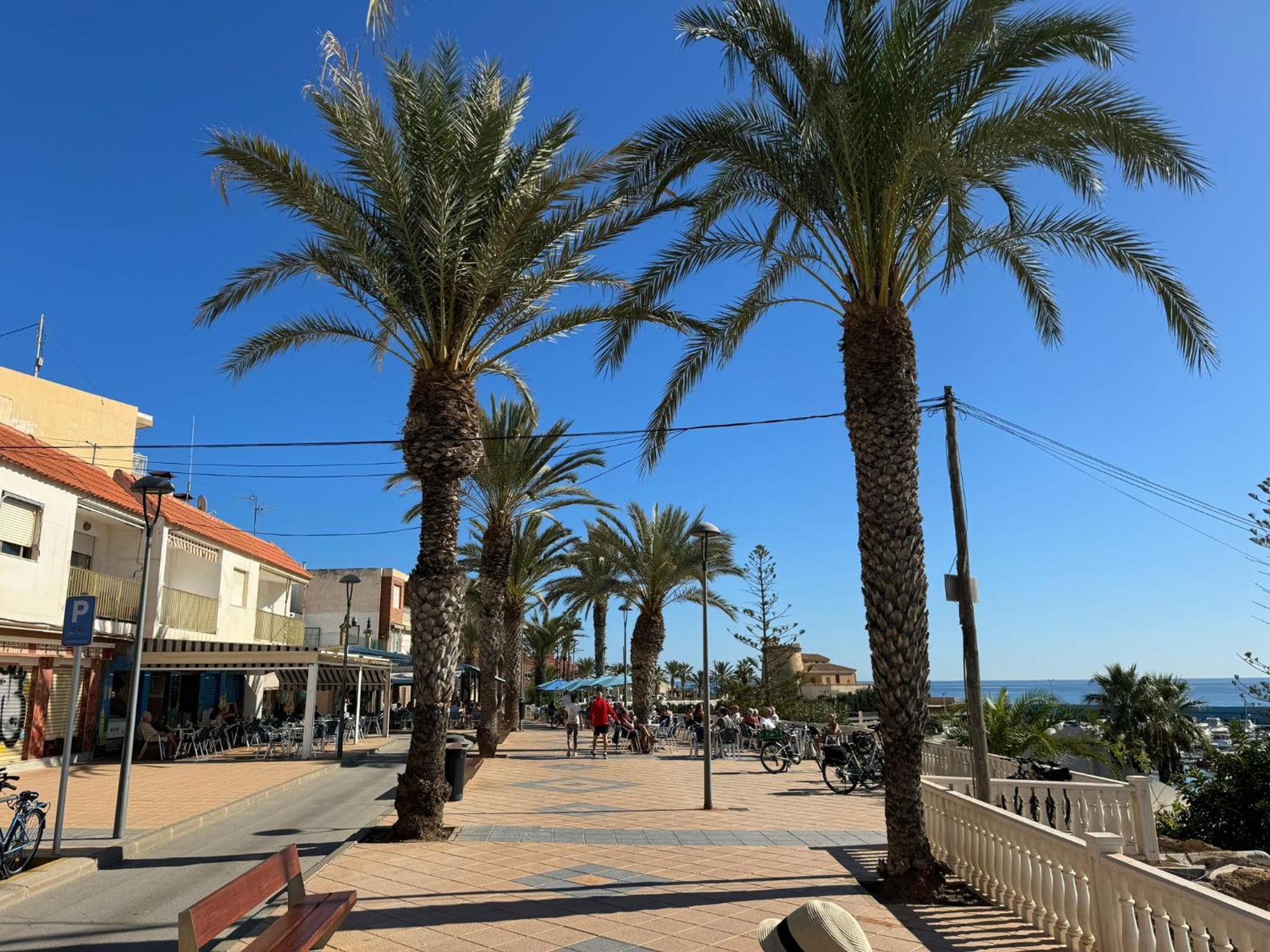 Vista Azul Torre