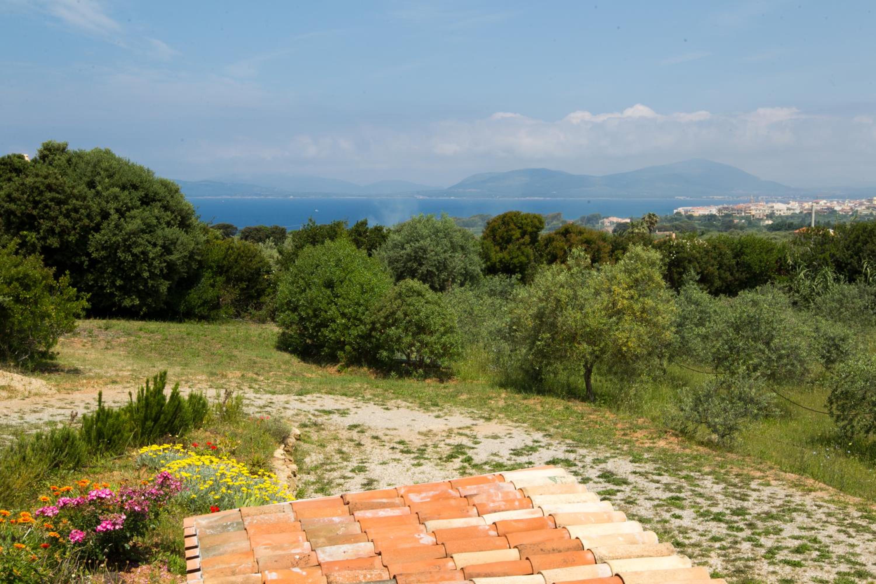 Caprifogli