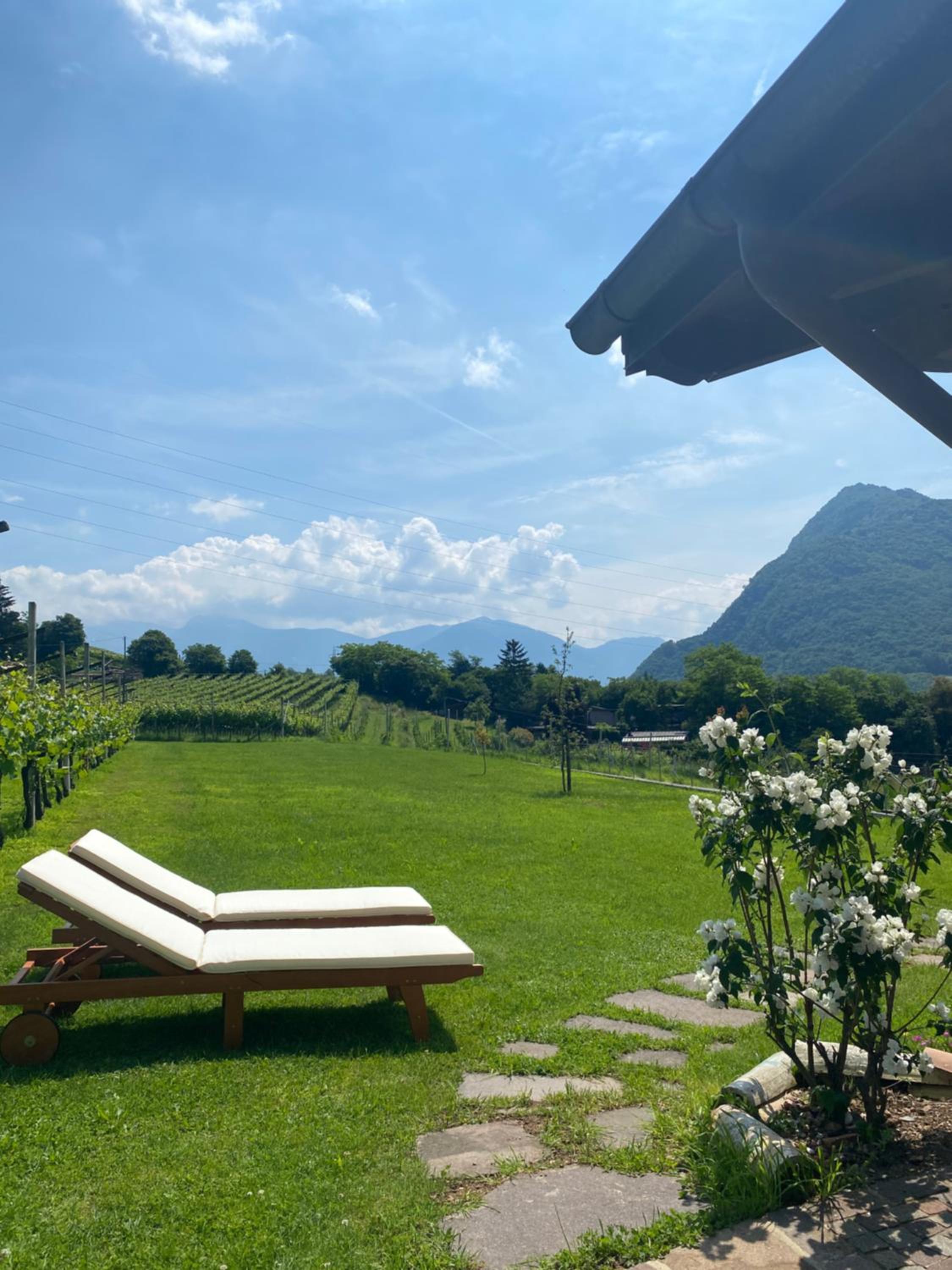 B&B La Casa in Collina view 3