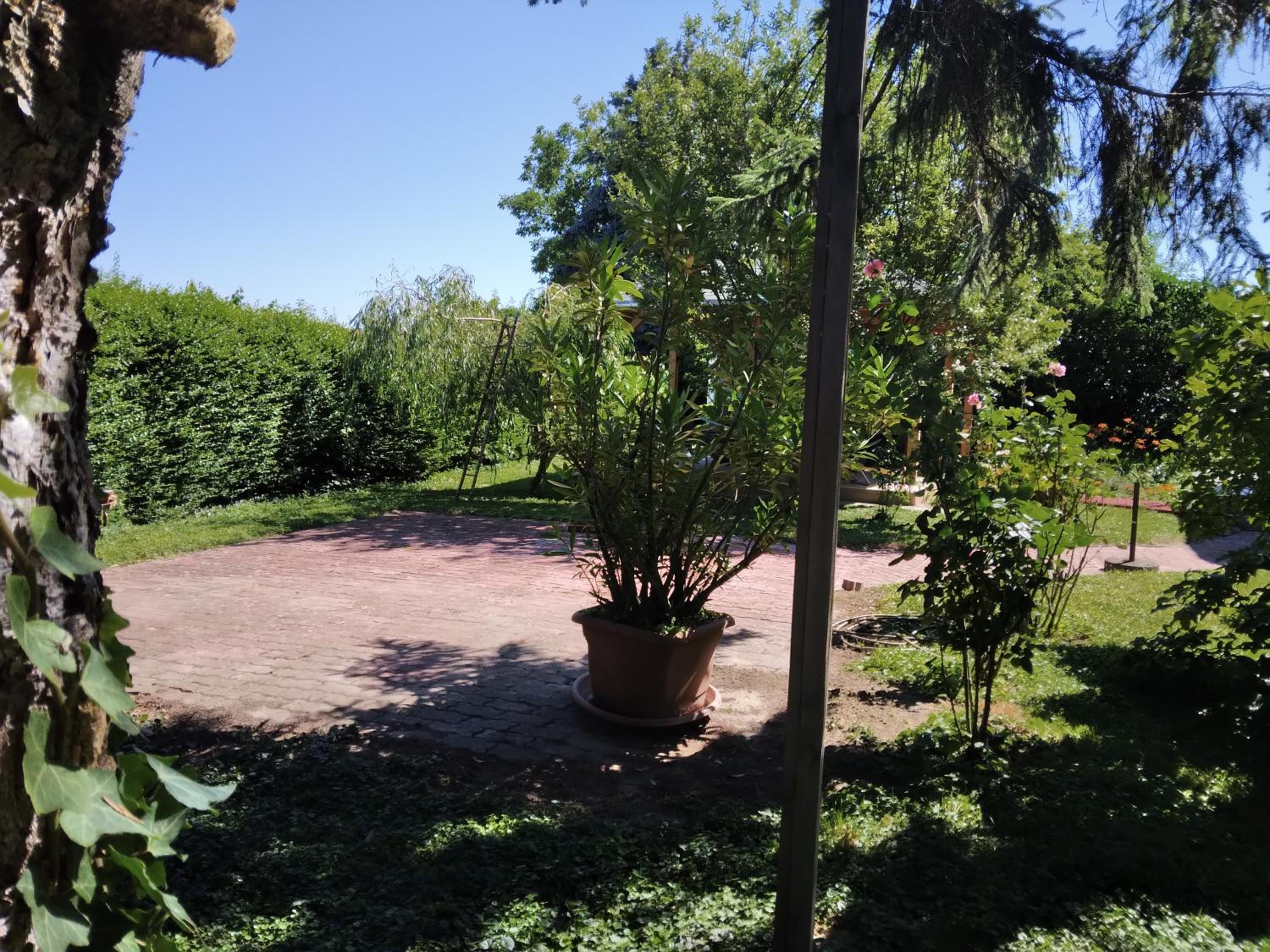 Photo 43
