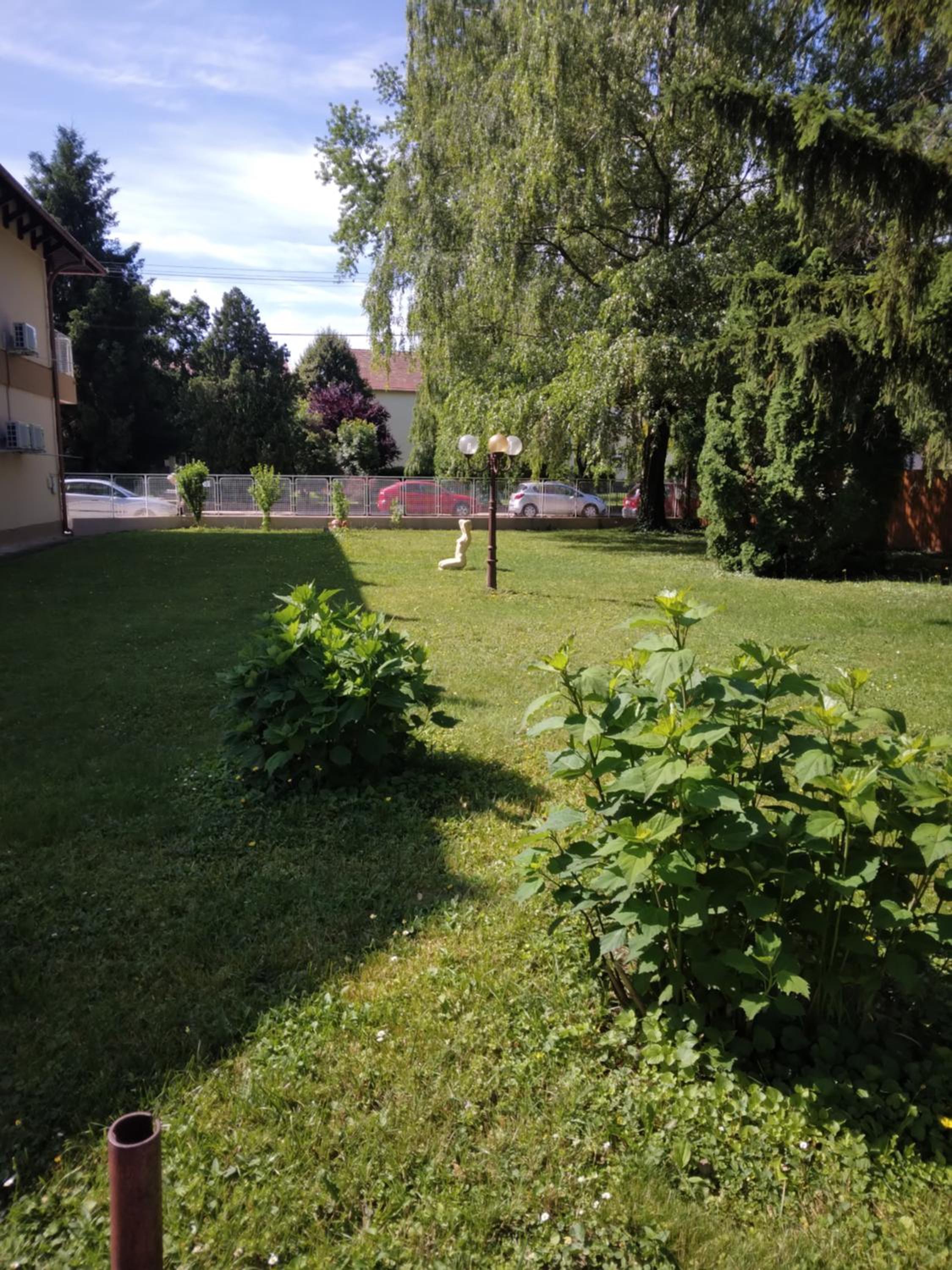 Photo 45