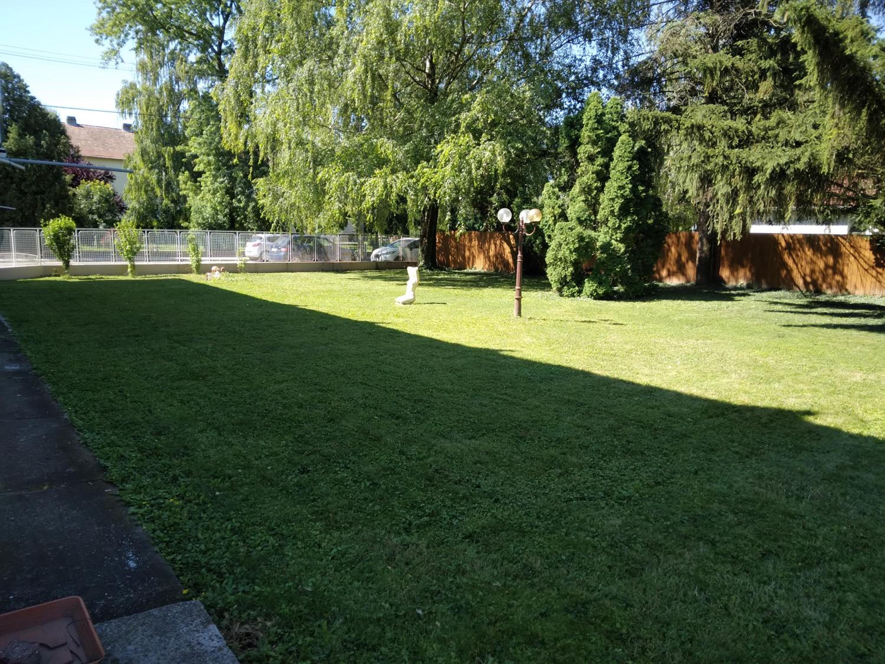 Photo 49