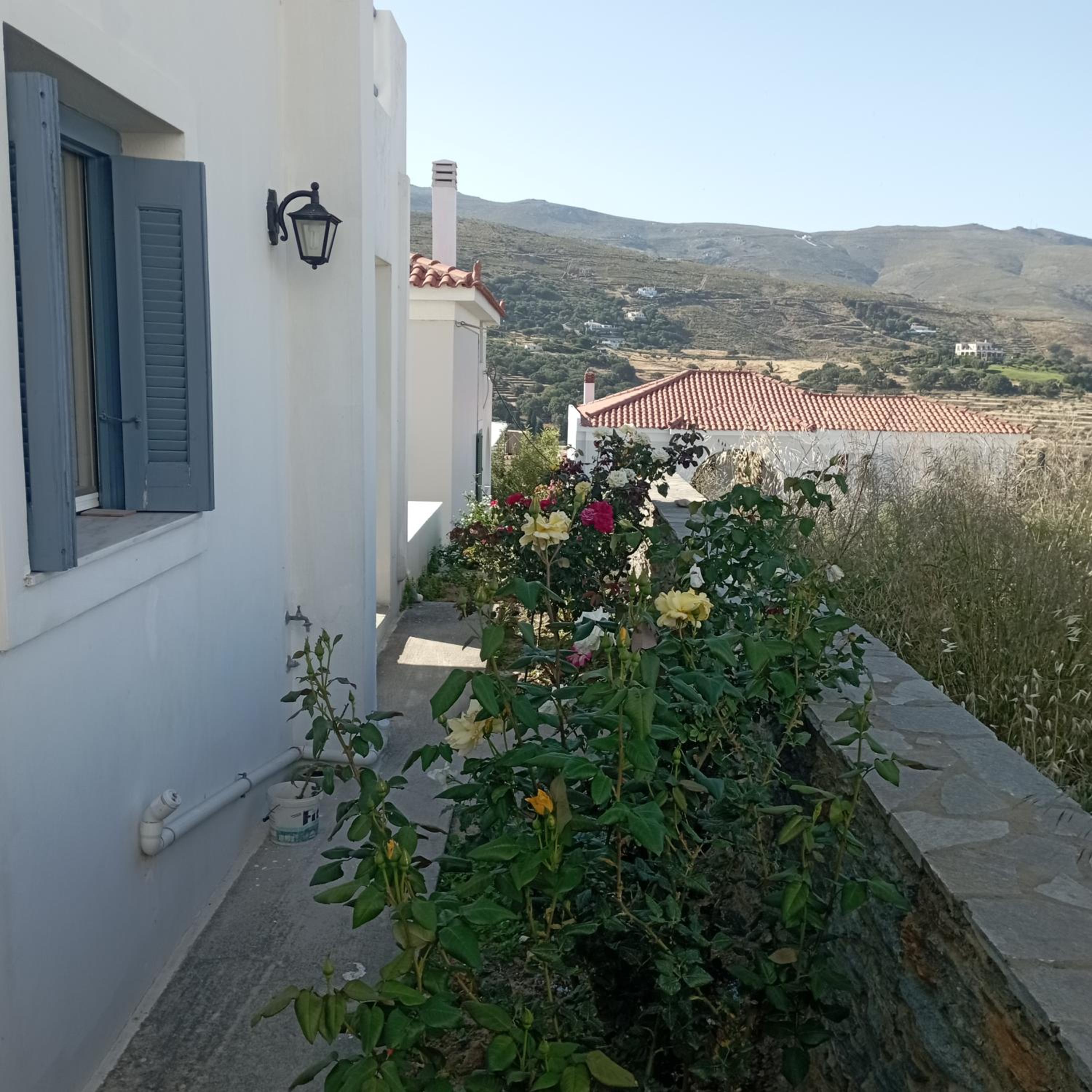 Photo 28