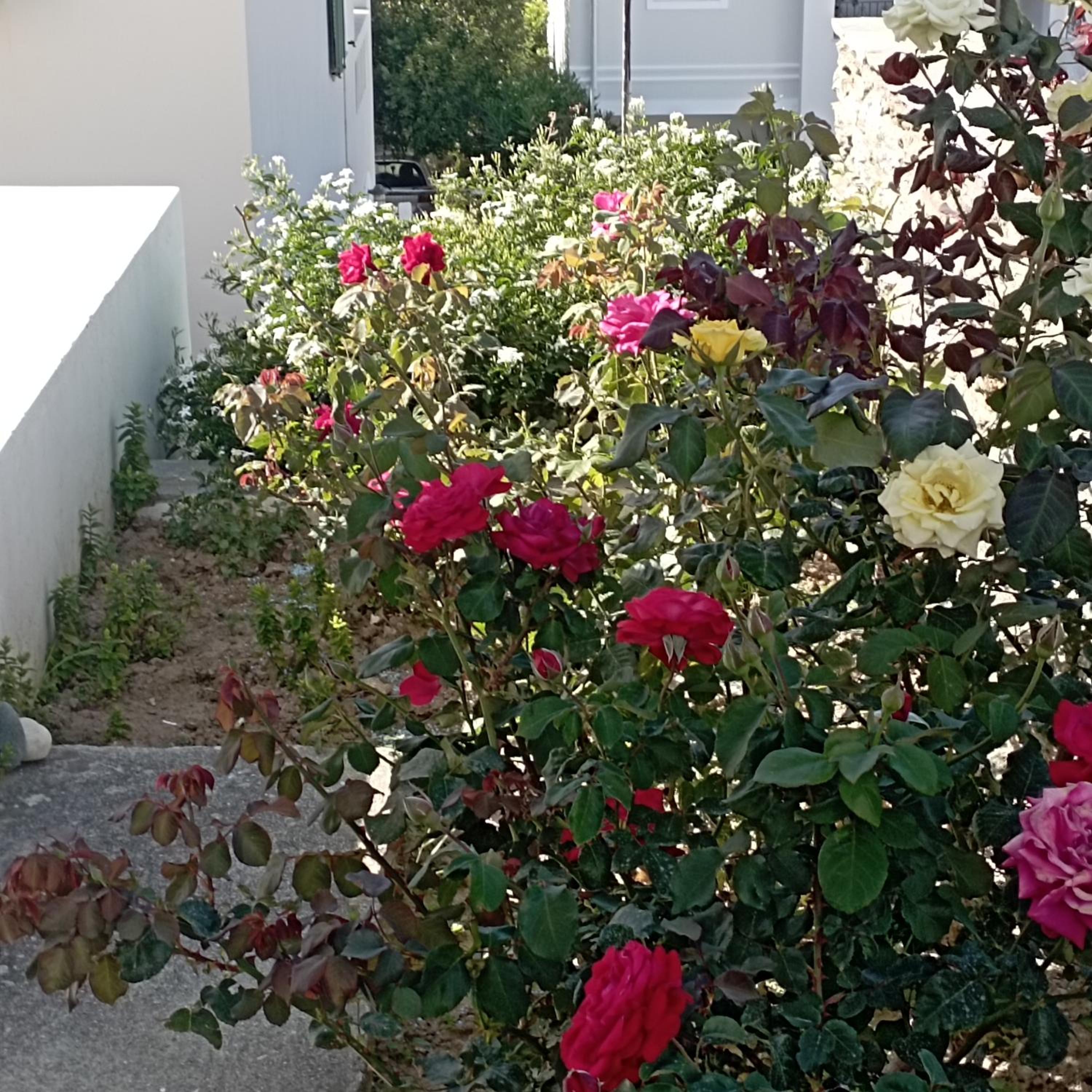 Photo 23