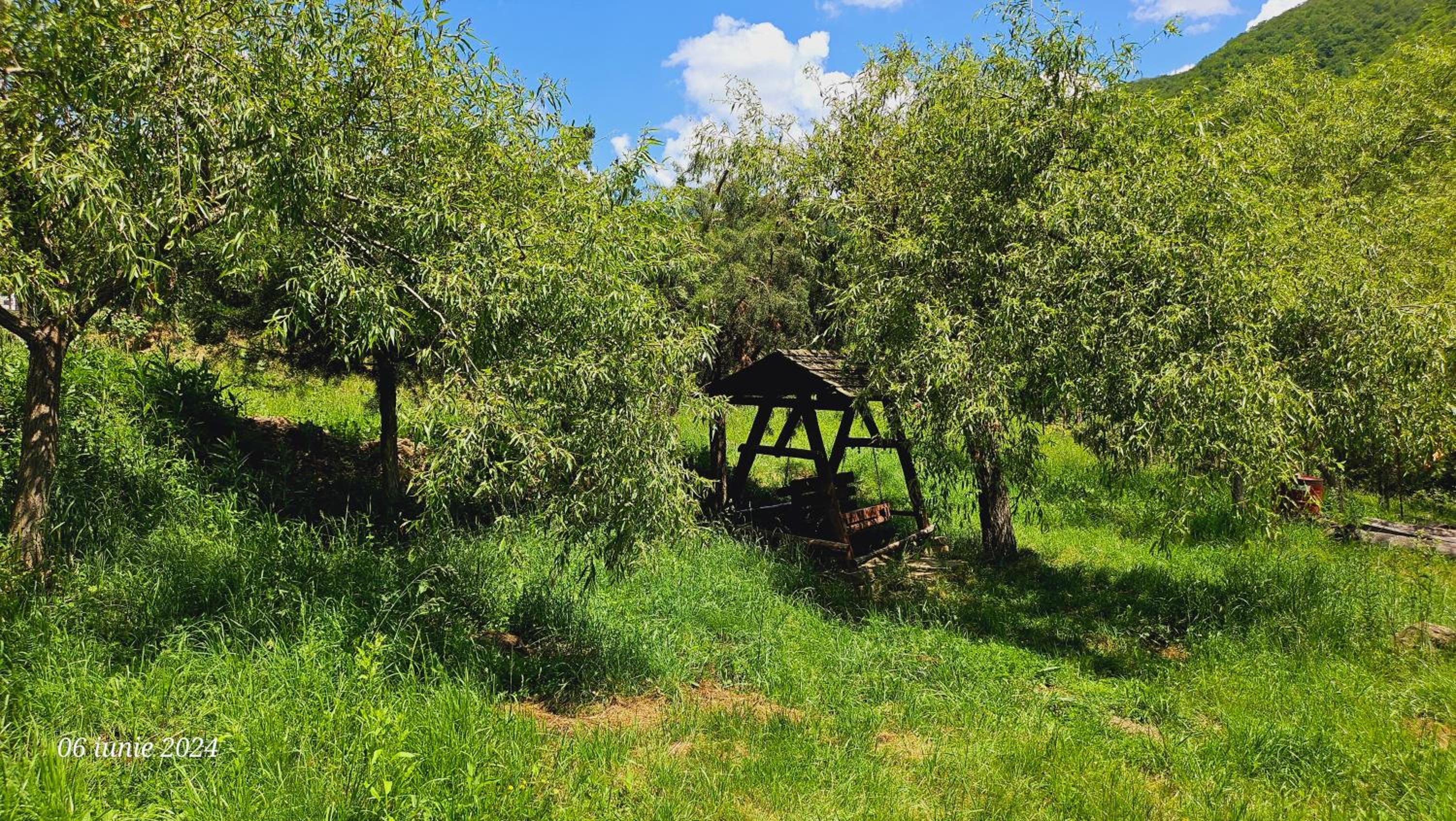 PENSIUNEA IZVORUL BUCURIEI view 5