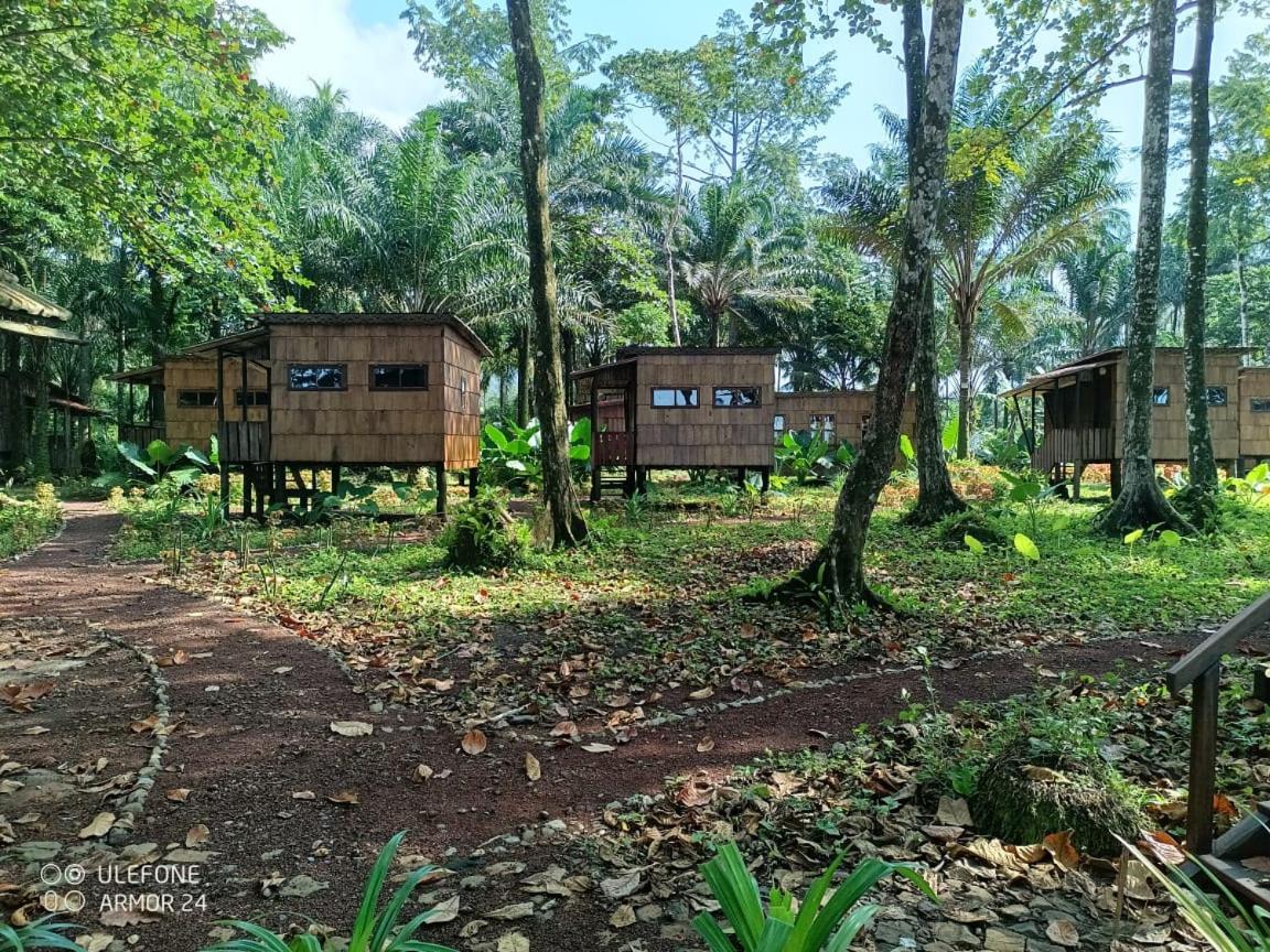 Photo 25