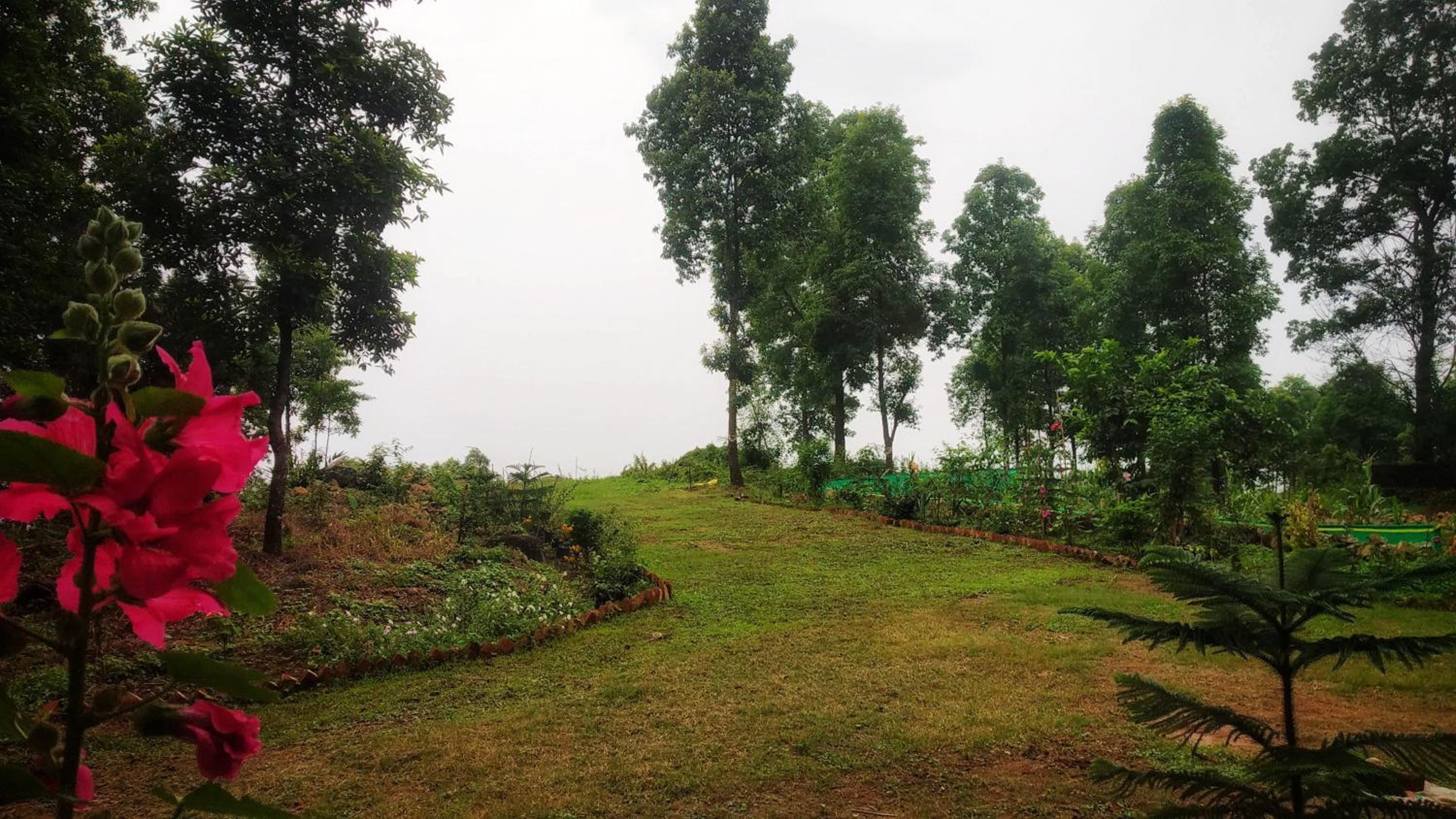 Infinity Viewpoint Homestay view 2