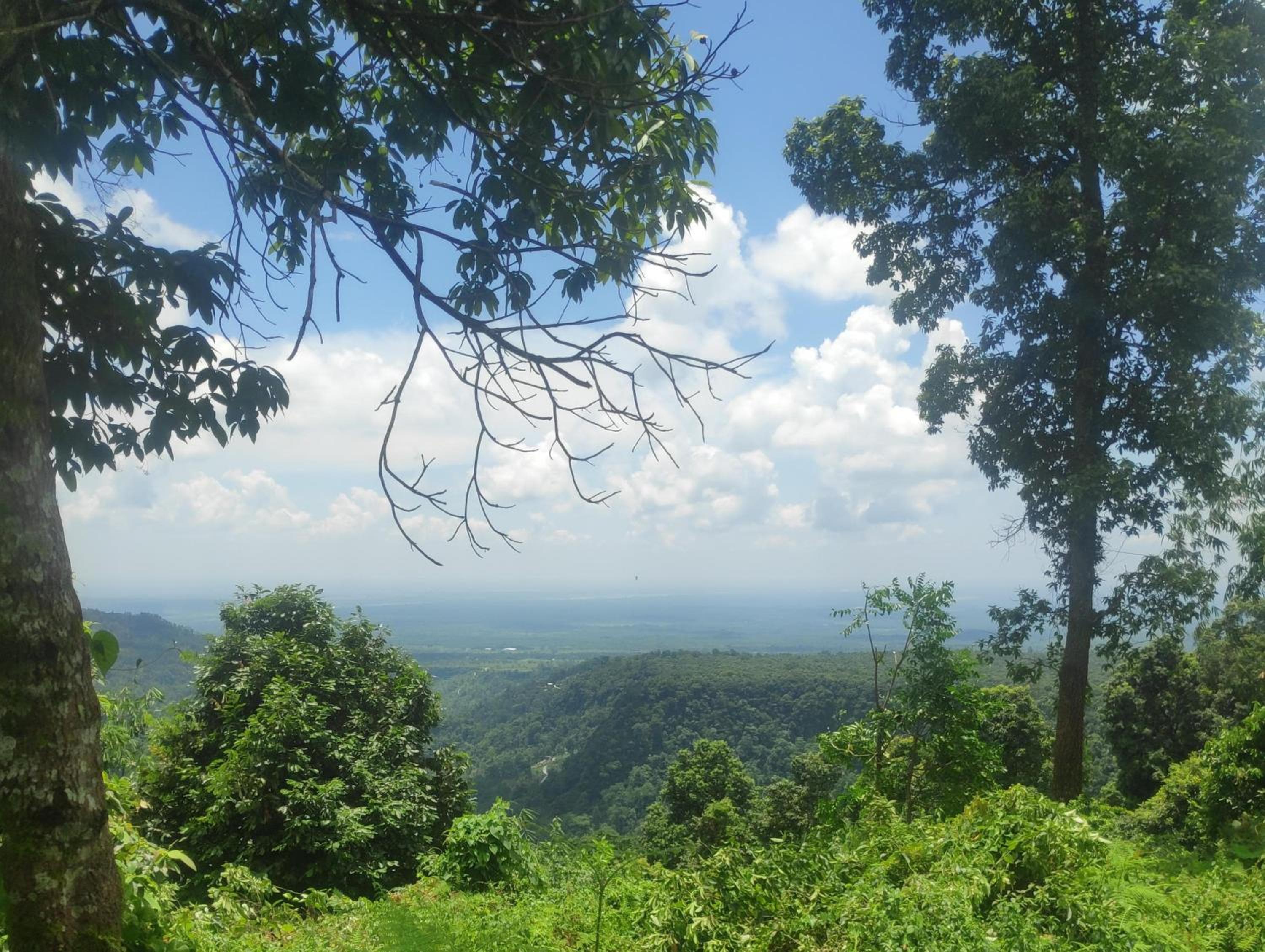 Infinity Viewpoint Homestay view 4