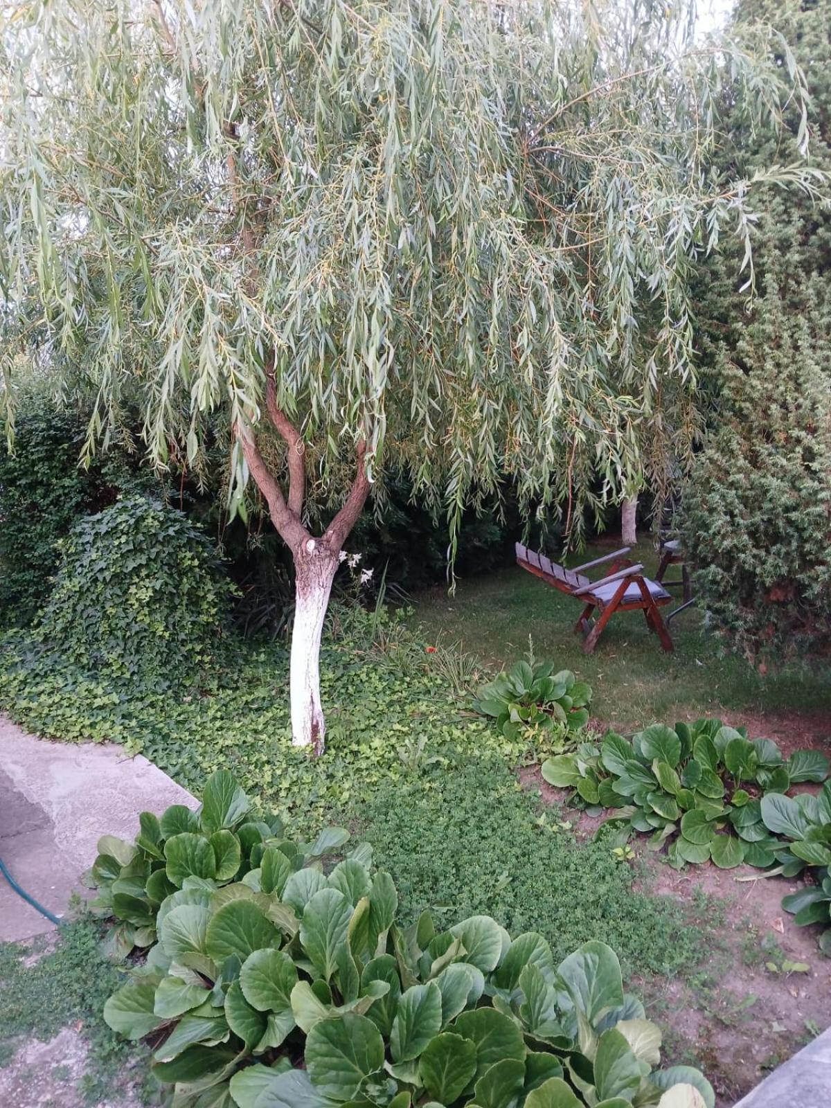 Cabana Timeea view 3