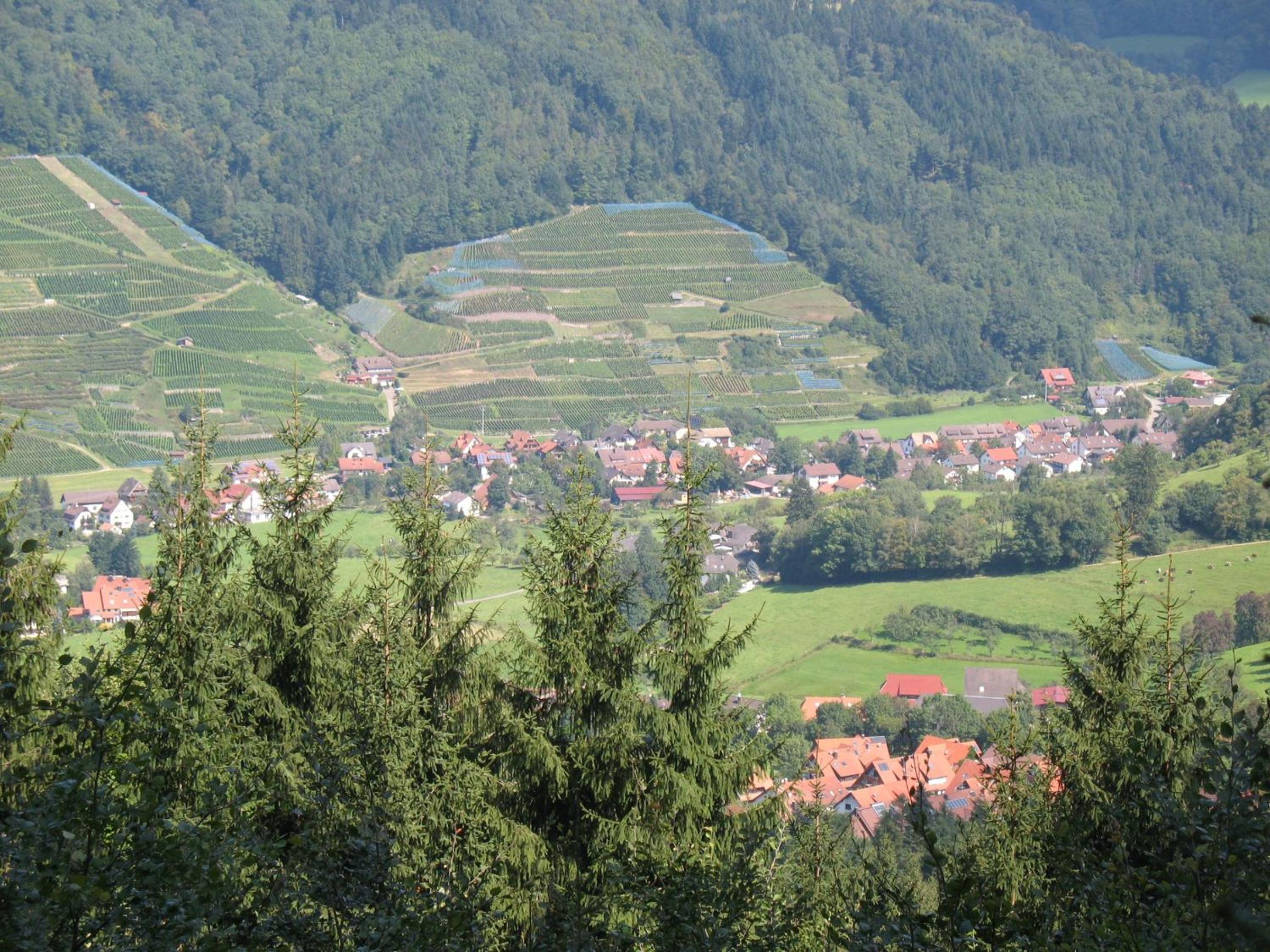 Dischhansenhof
