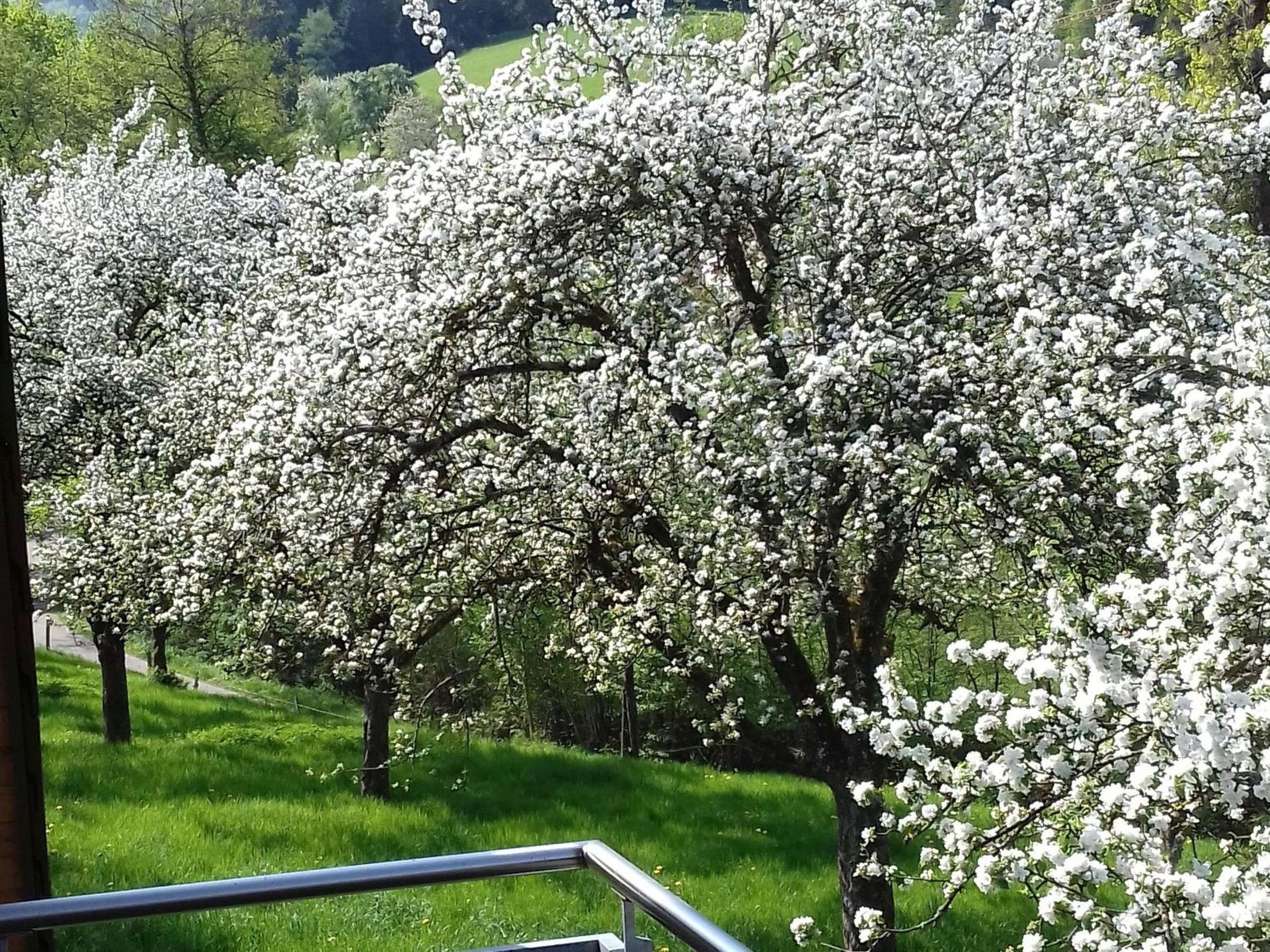 Dischhansenhof
