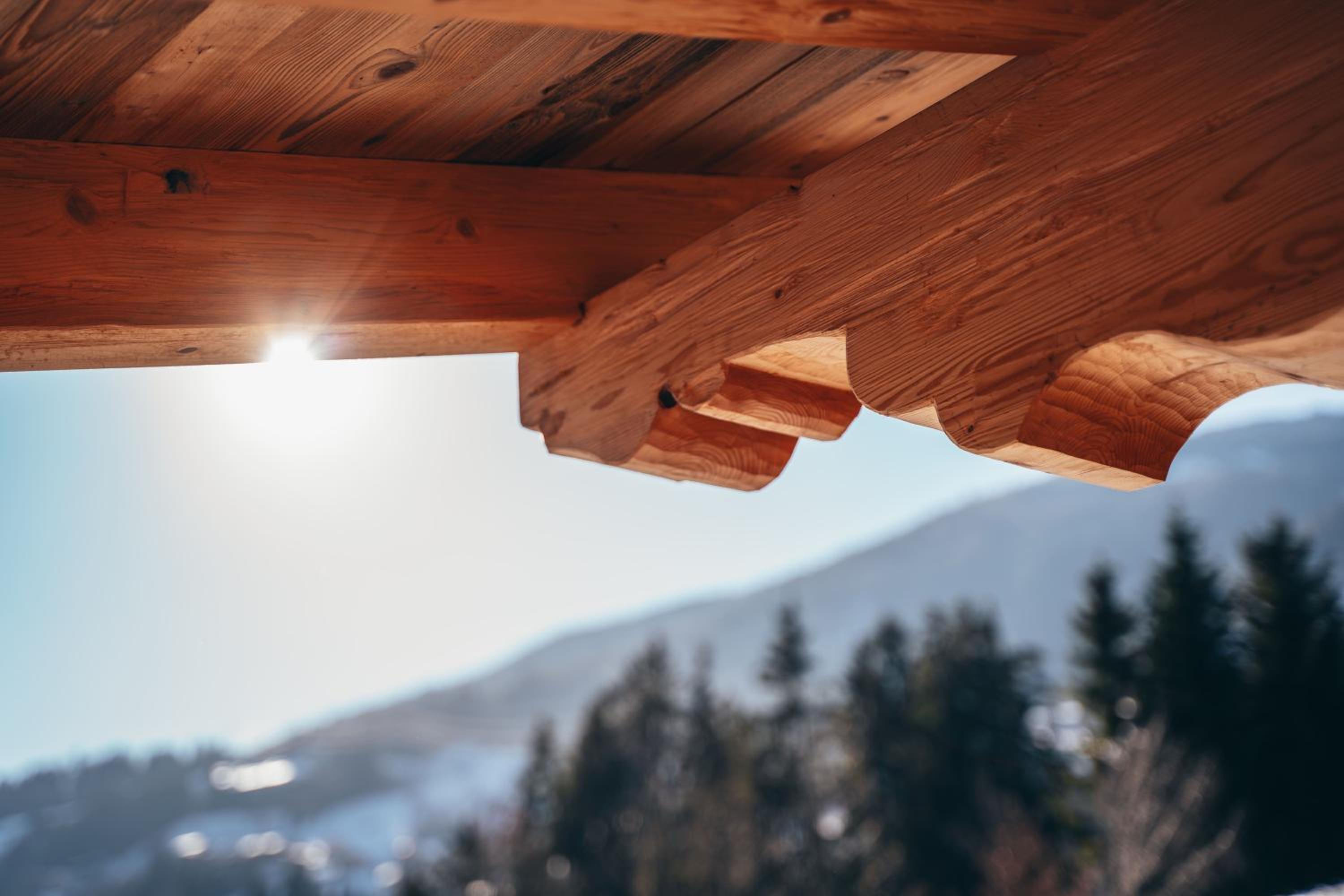 Chalet WildRuh