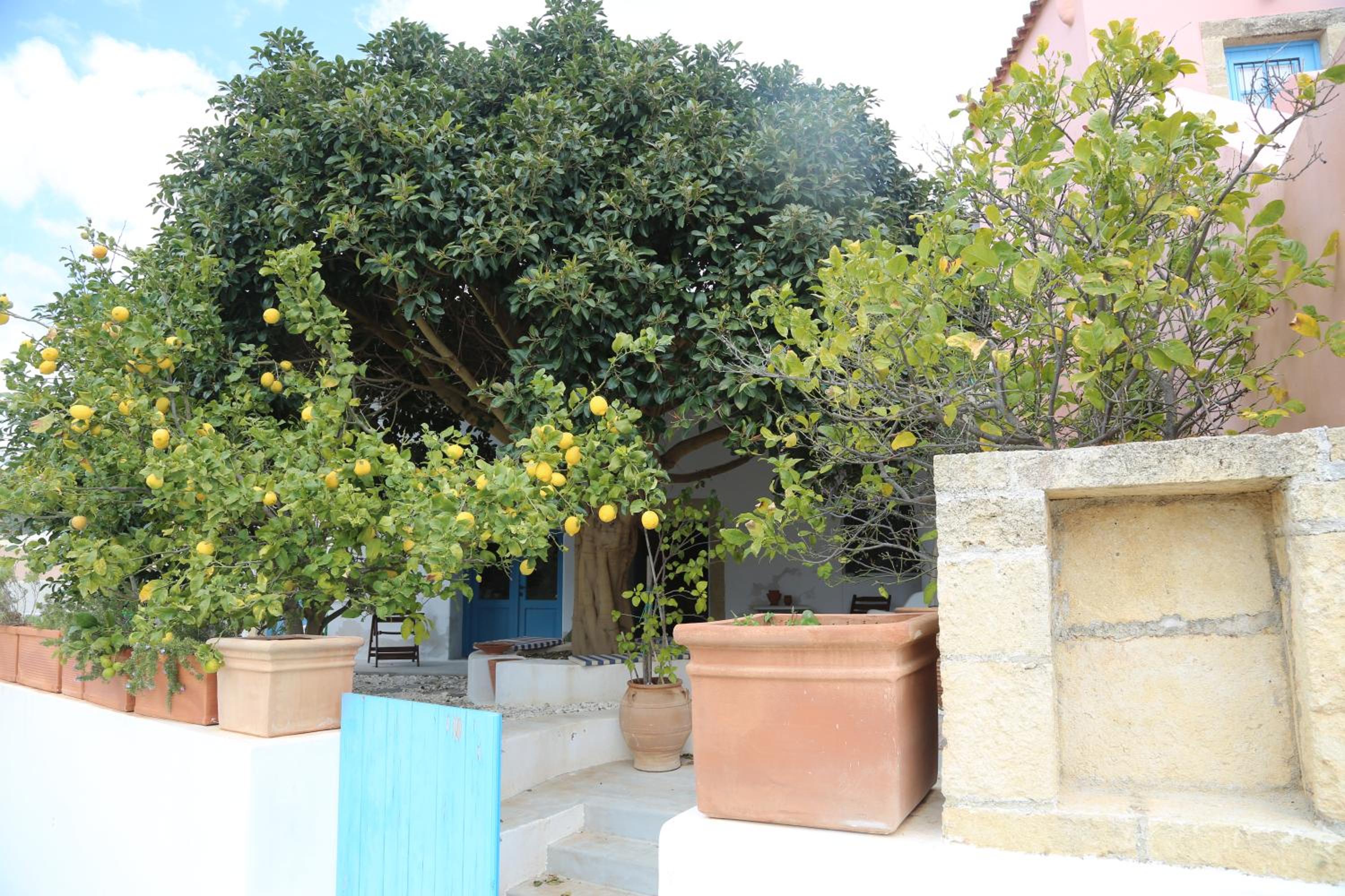 Traditional house in Mitata next to the canyon! view 5