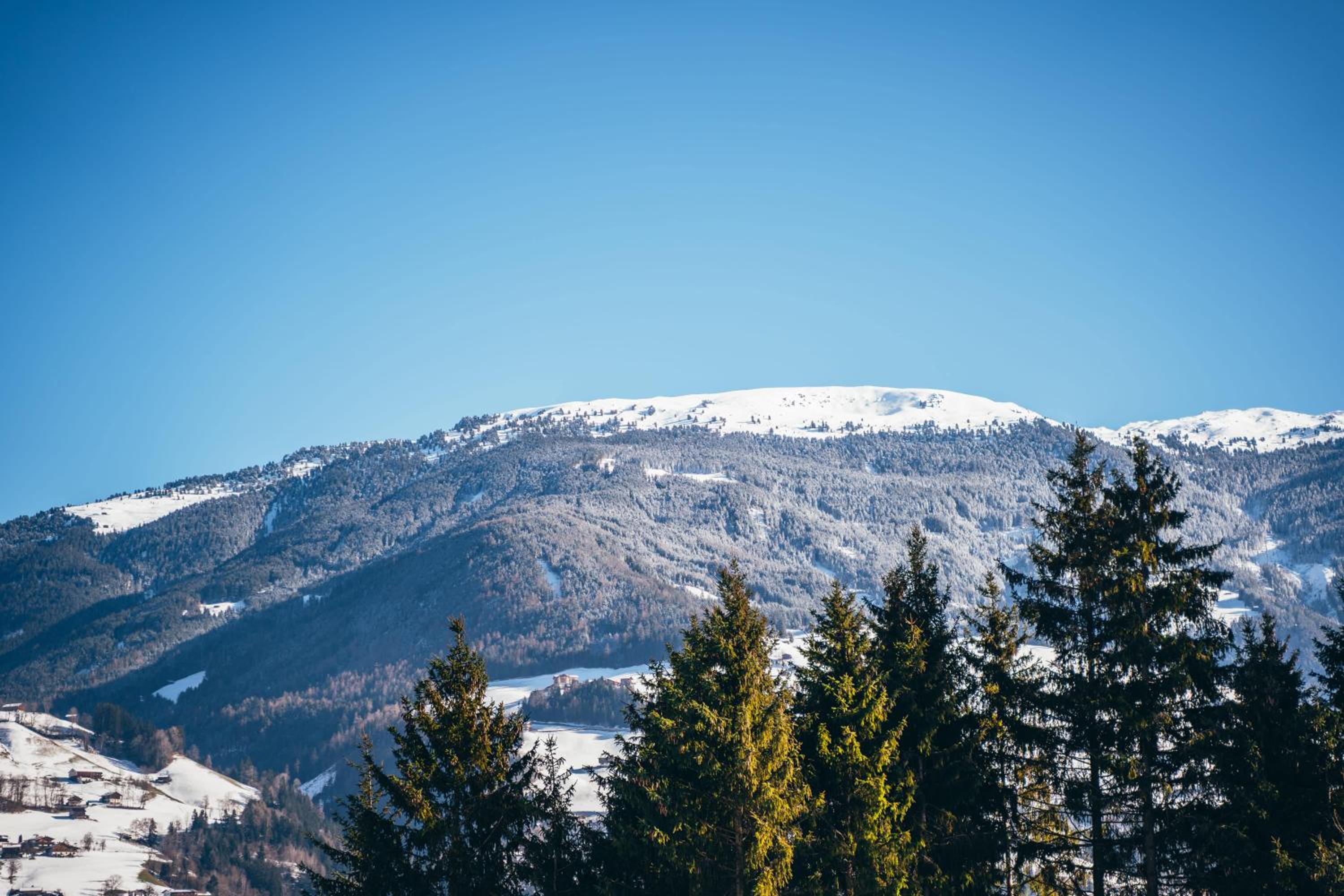 Chalet WildRuh